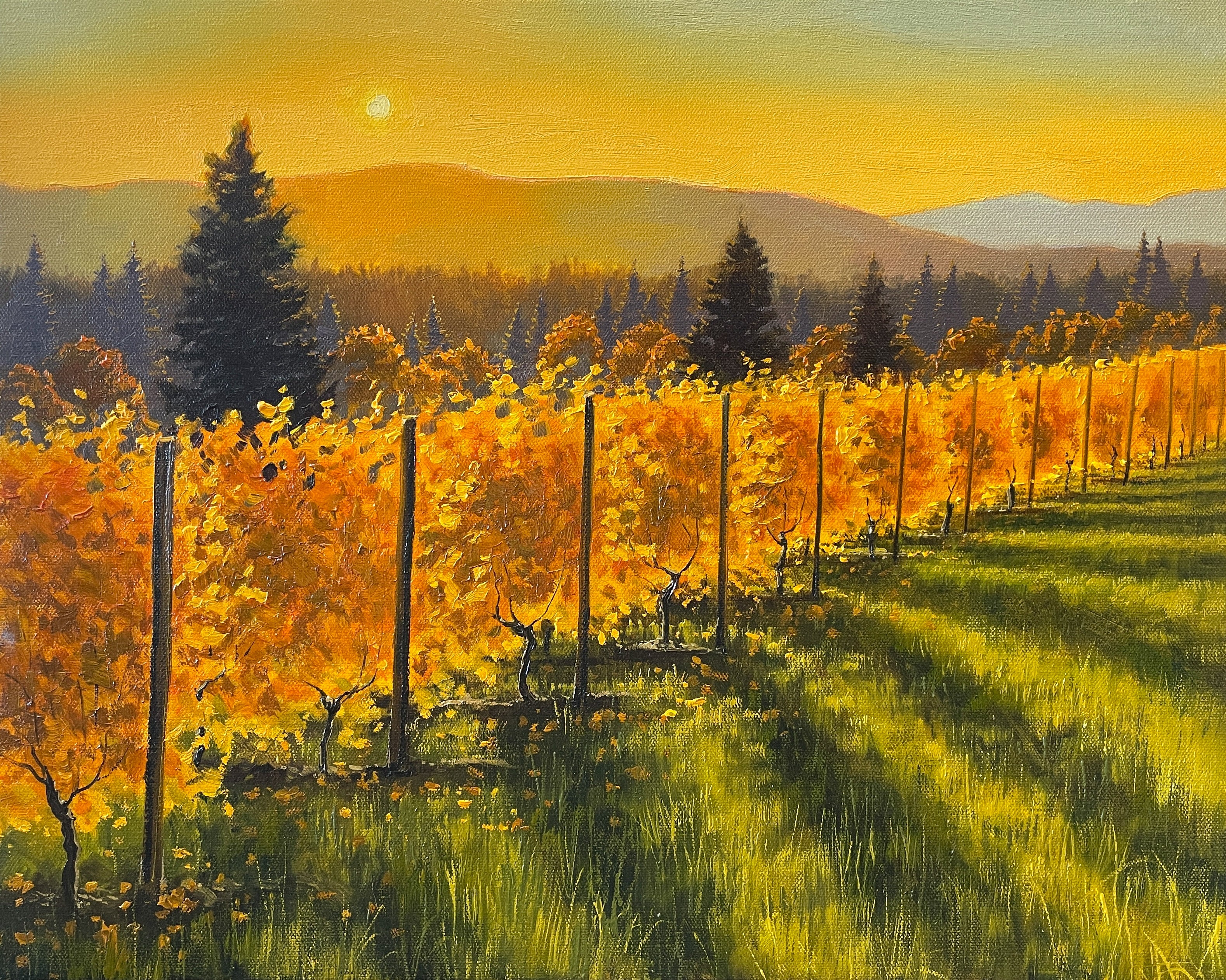 Vineyard Collection