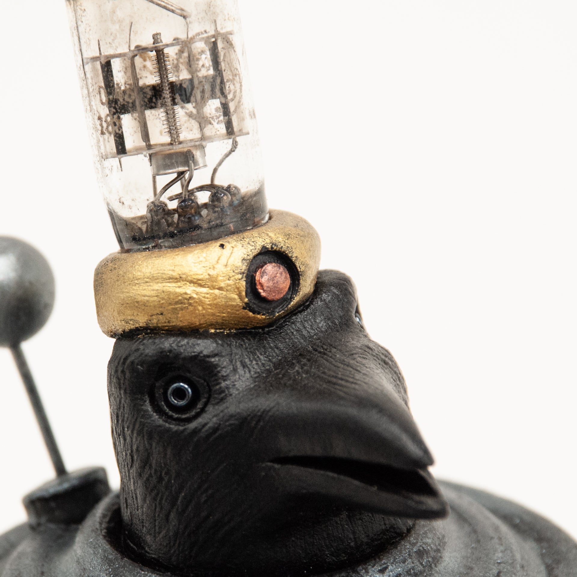 Crow-Kin #1224