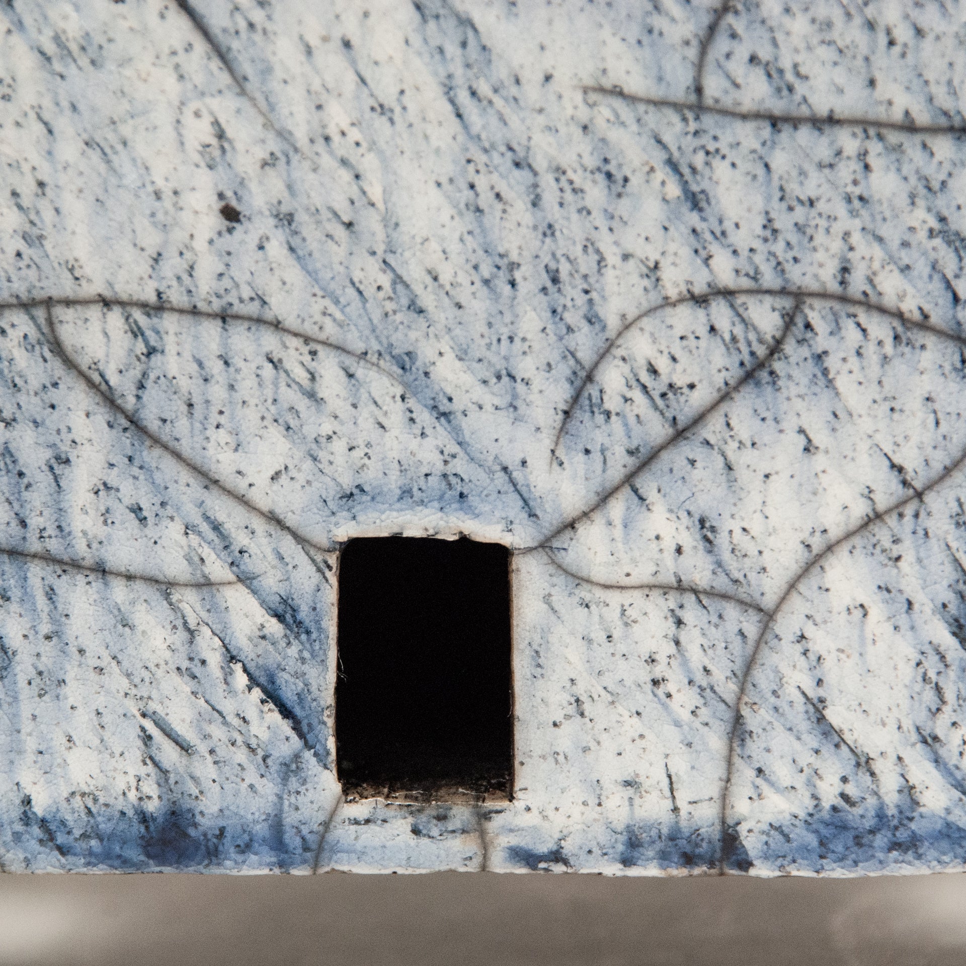 Crow Caravan #3