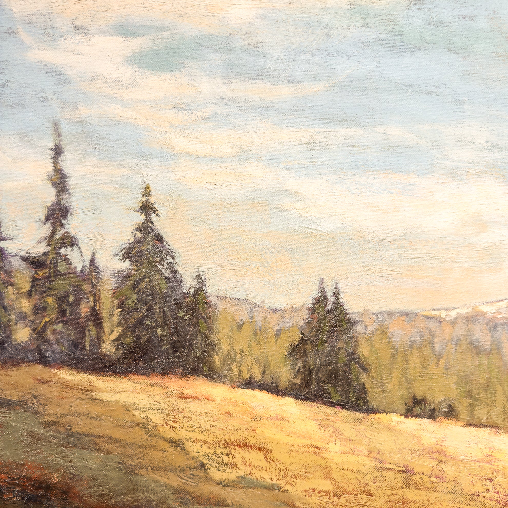 It's Never Too Late to Dance