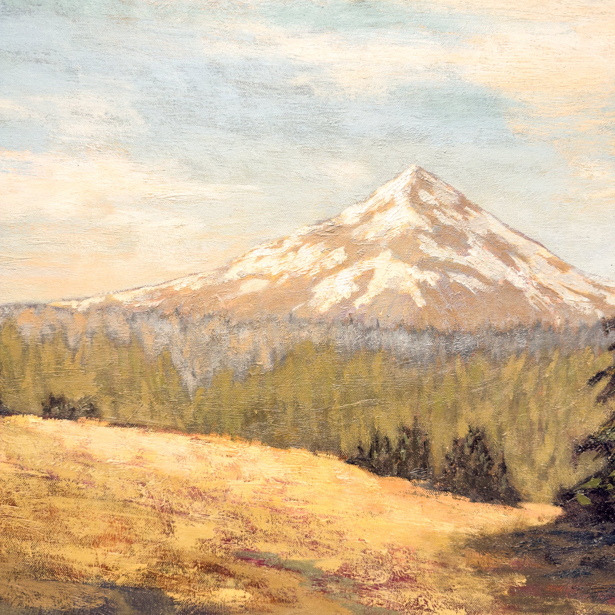 It's Never Too Late to Dance