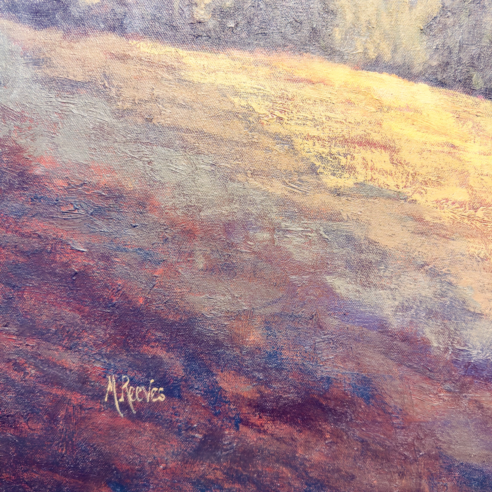 It's Never Too Late to Dance