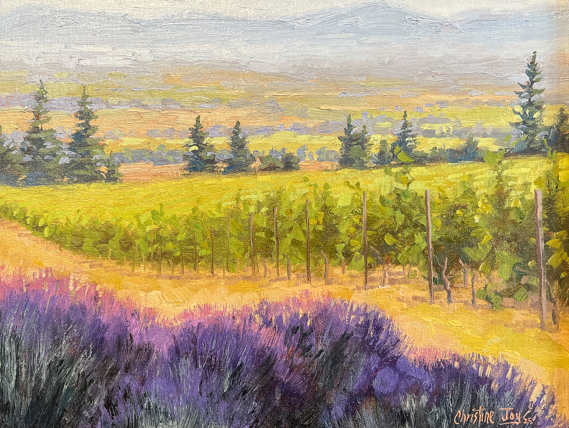 Vines and Valley Views