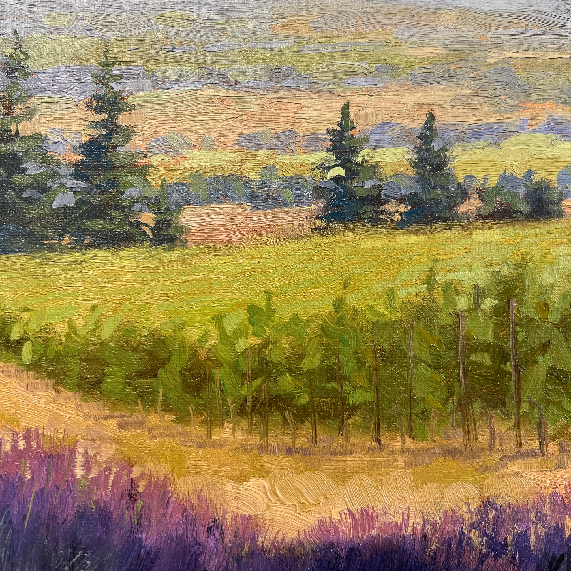 Vines and Valley Views