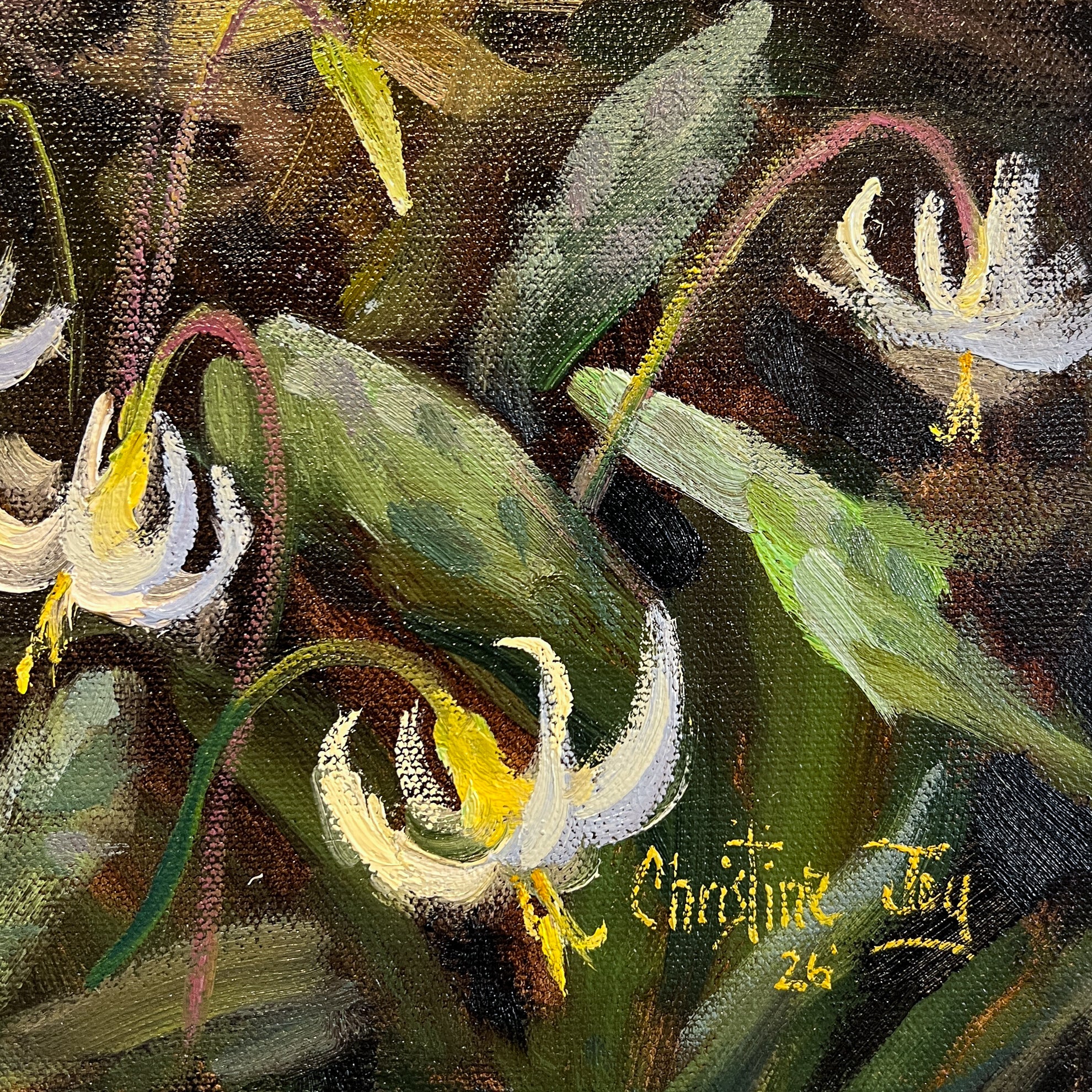 Carpet of Fawn Lilies