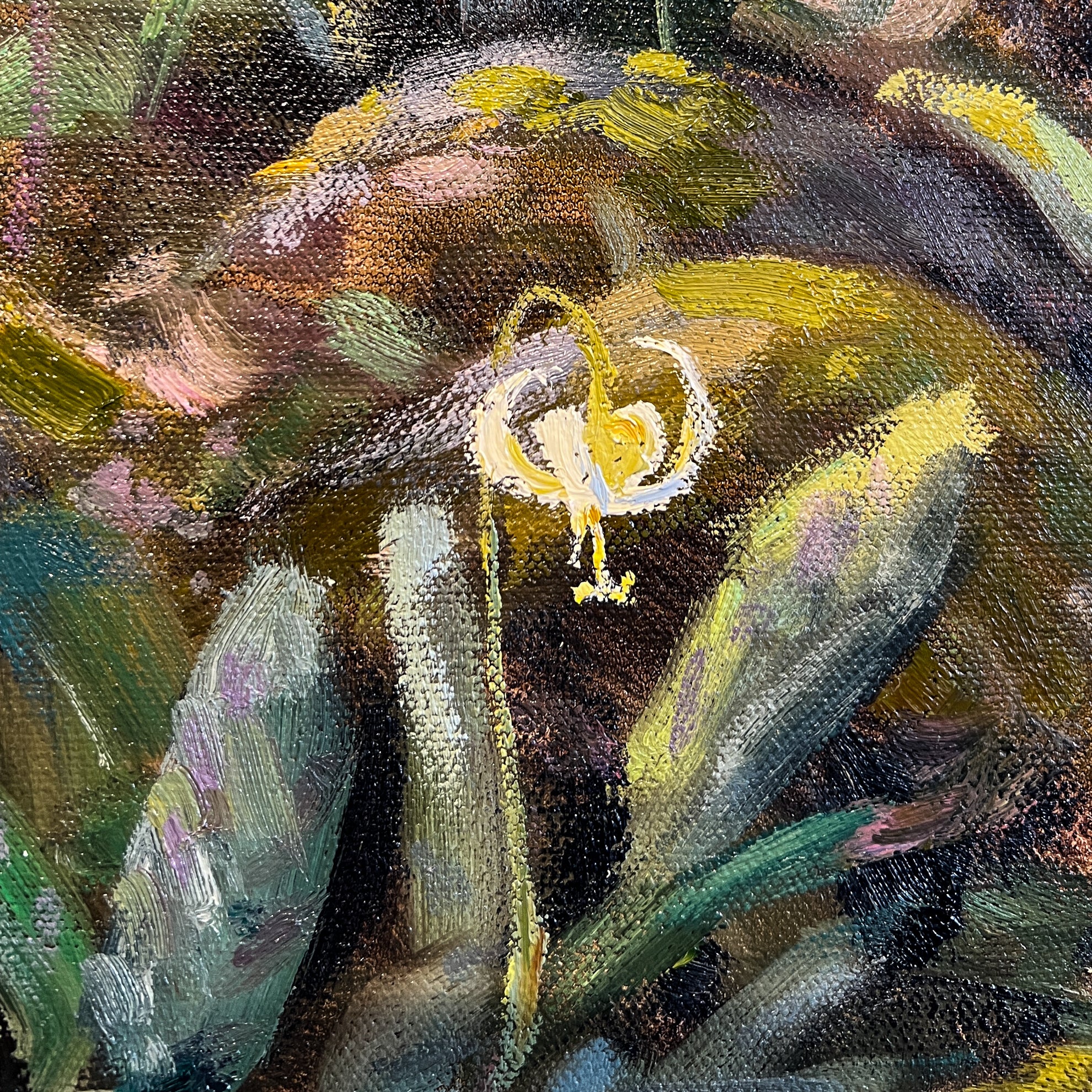 Carpet of Fawn Lilies