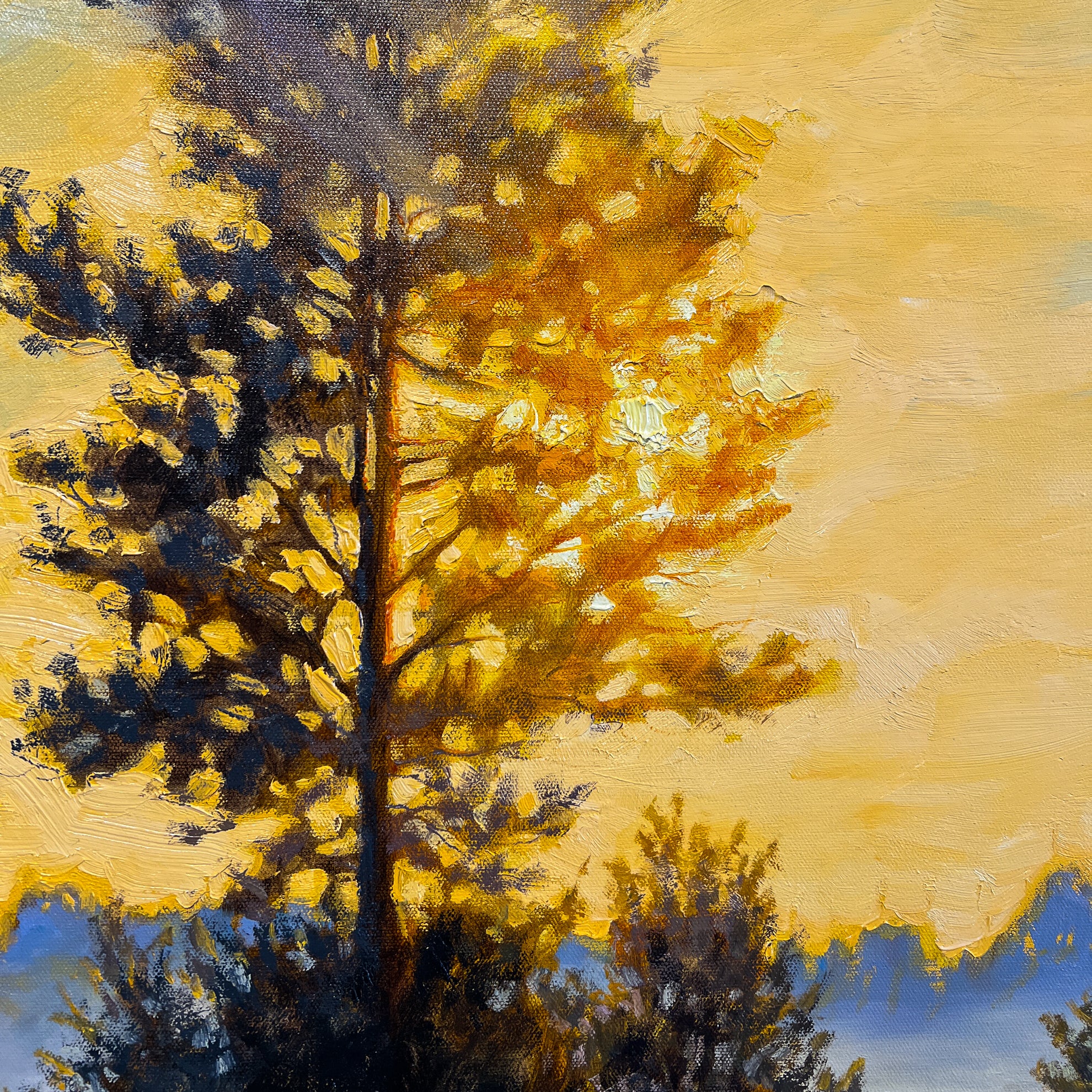 Sunrise Reflections