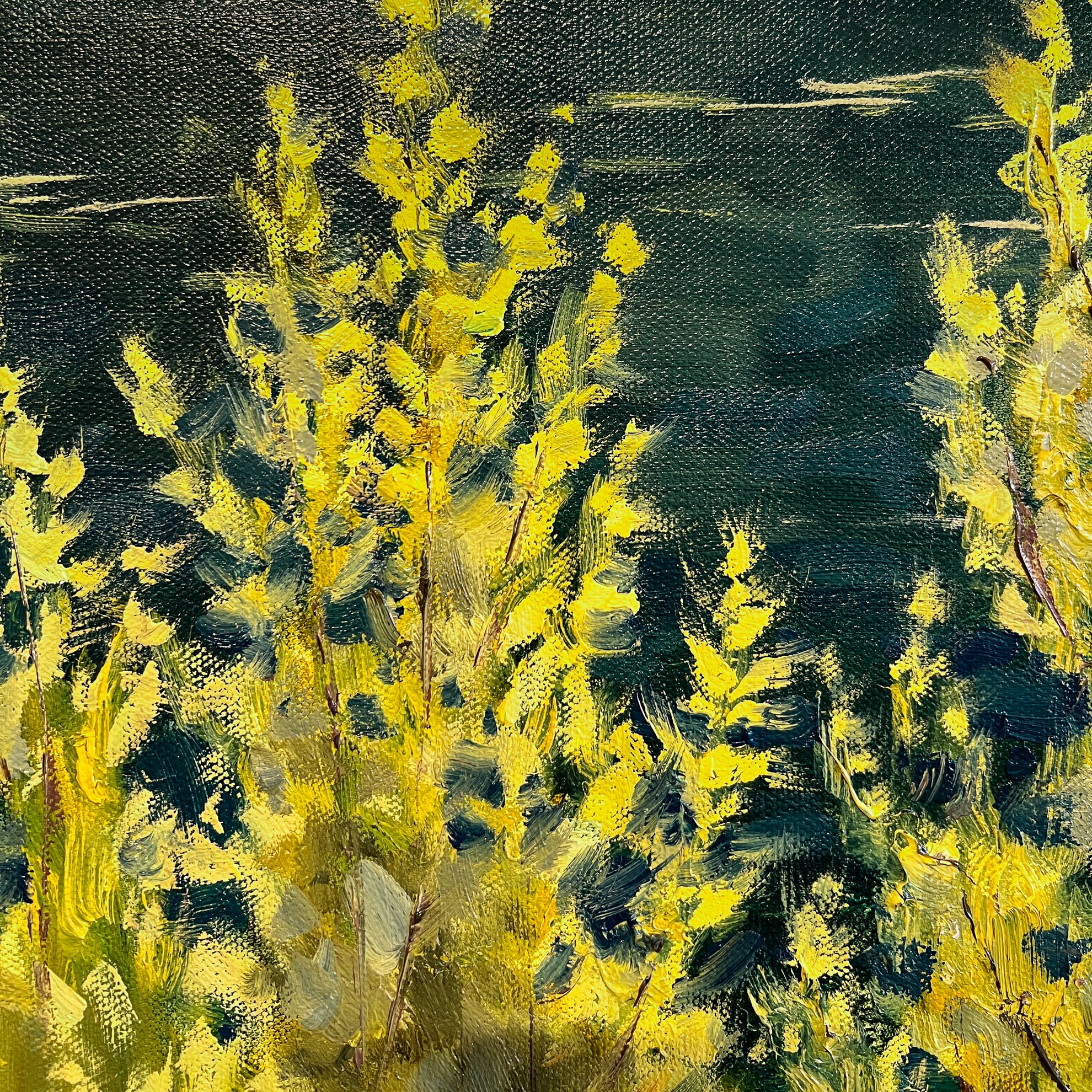 Light upon the Water