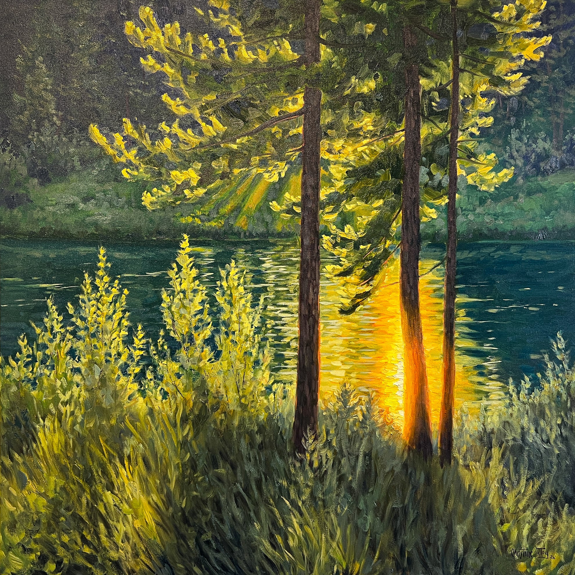 Light upon the Water