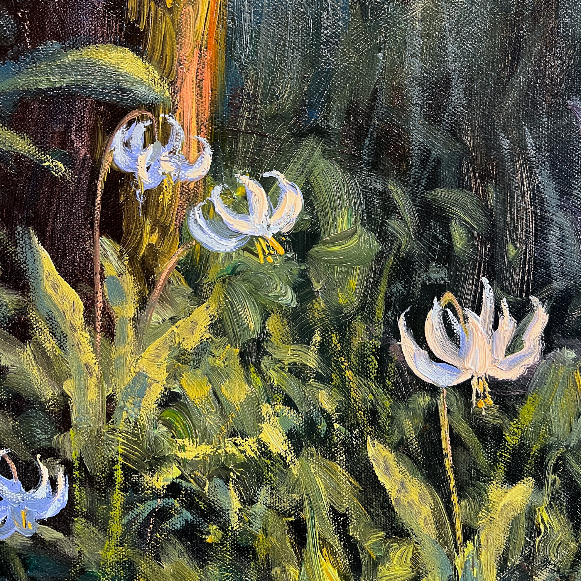 Fawn Lily Trail