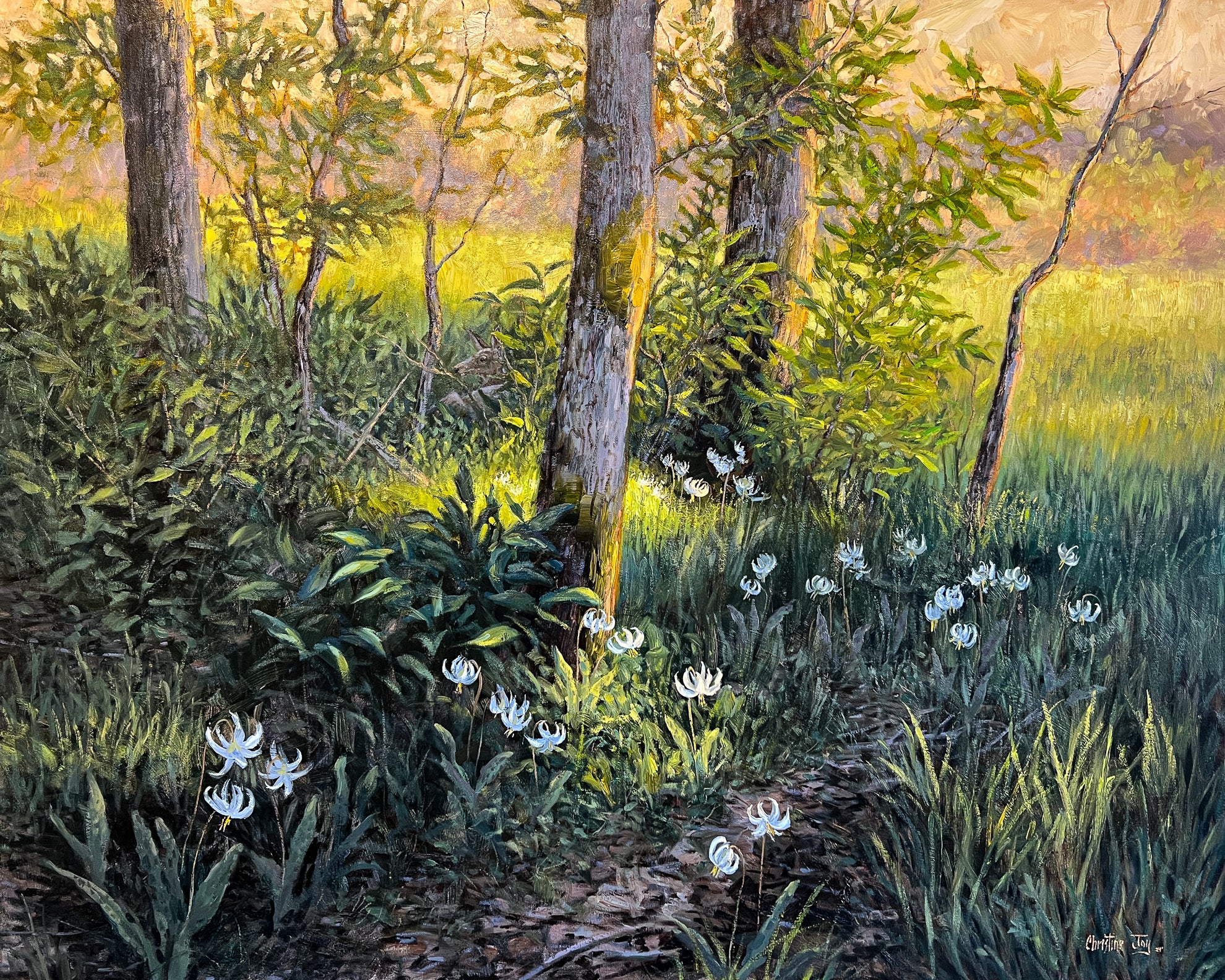 Fawn Lily Trail
