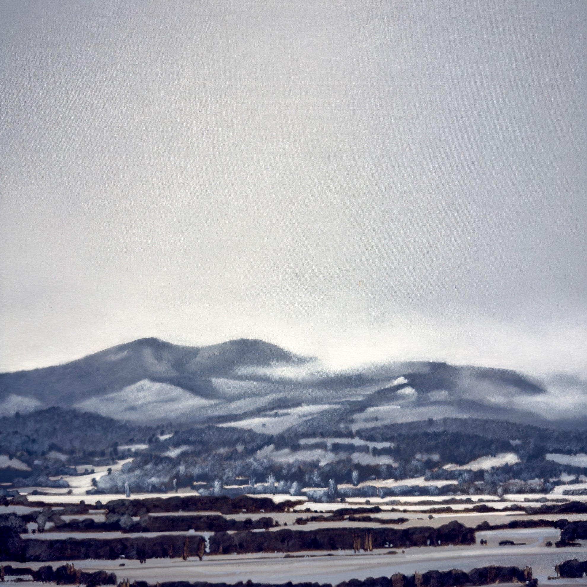 Cold Morning