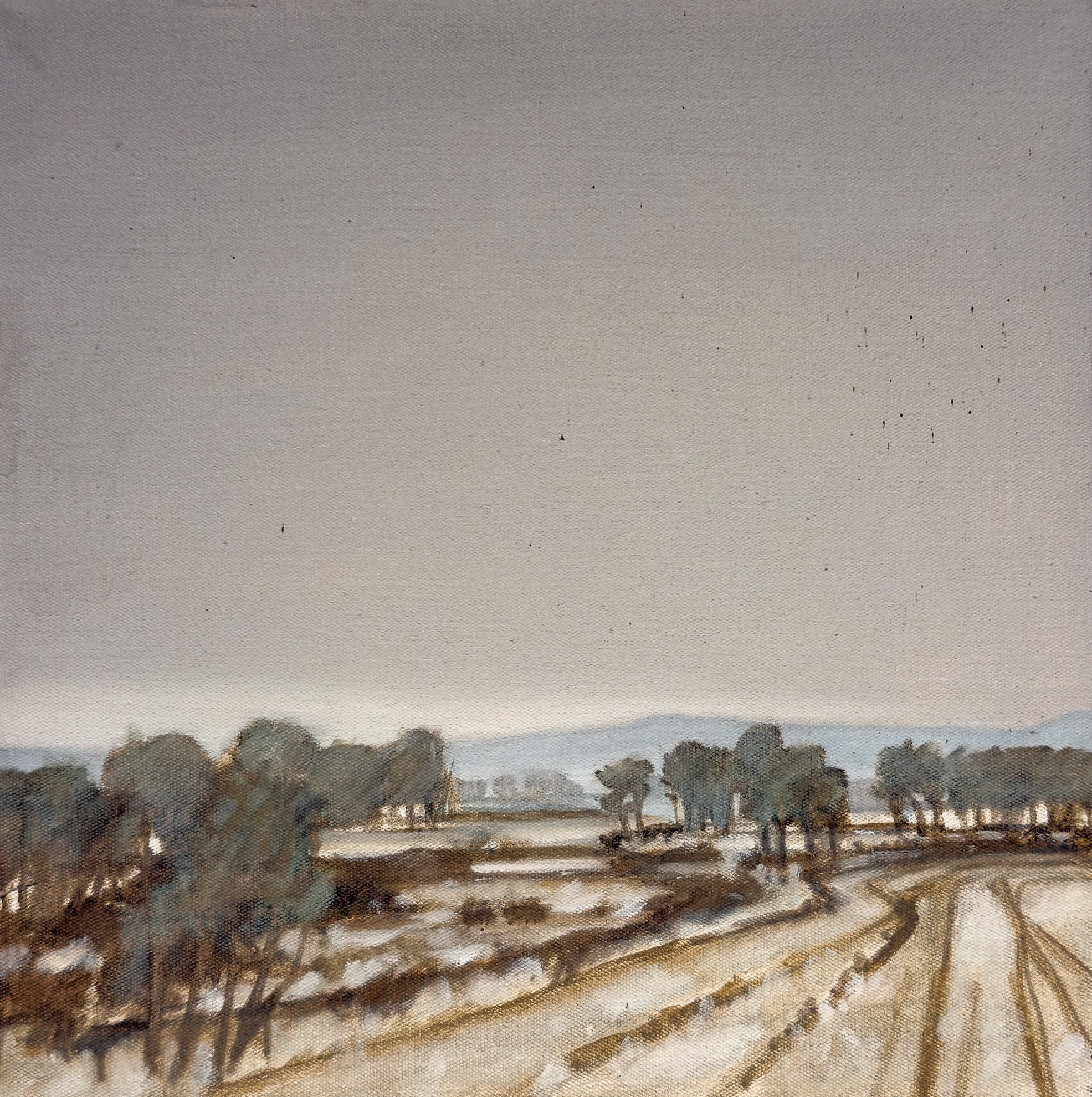 Hillside View Study