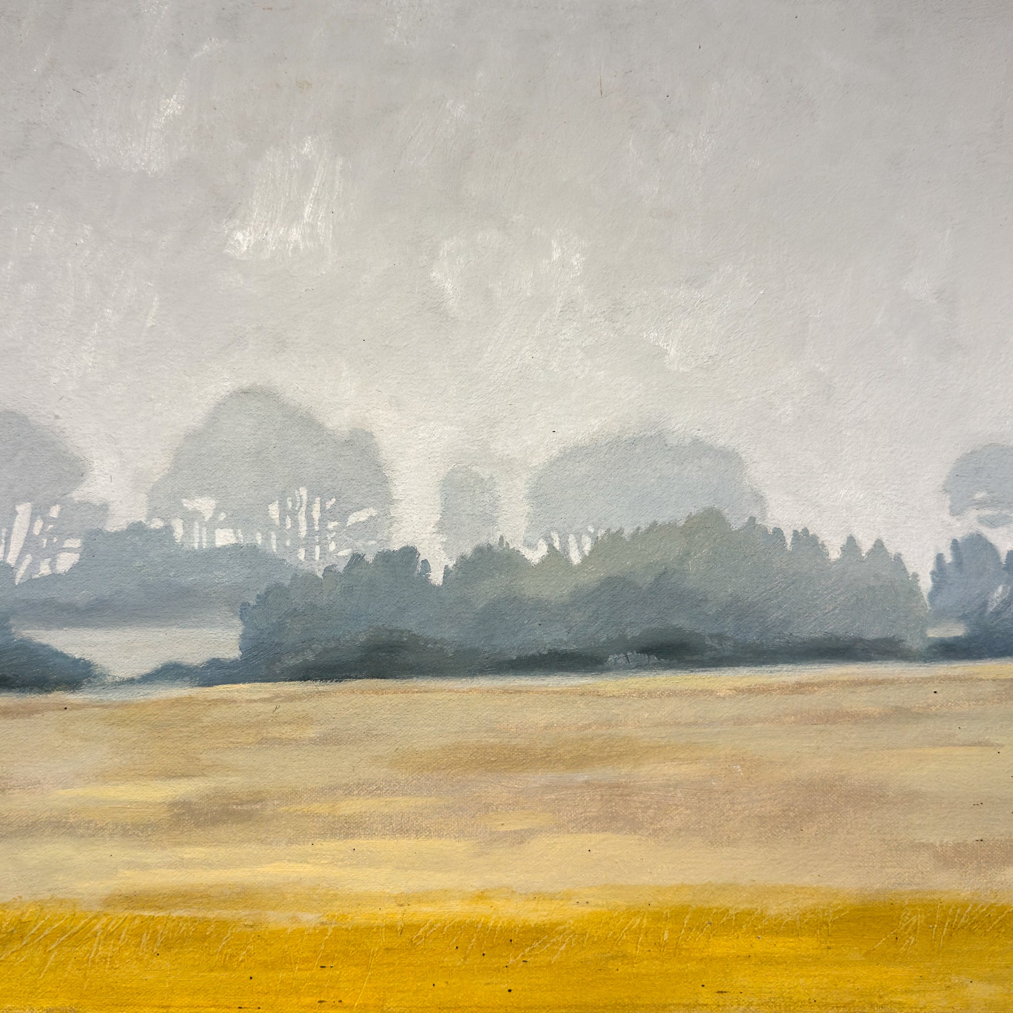November Morning Study