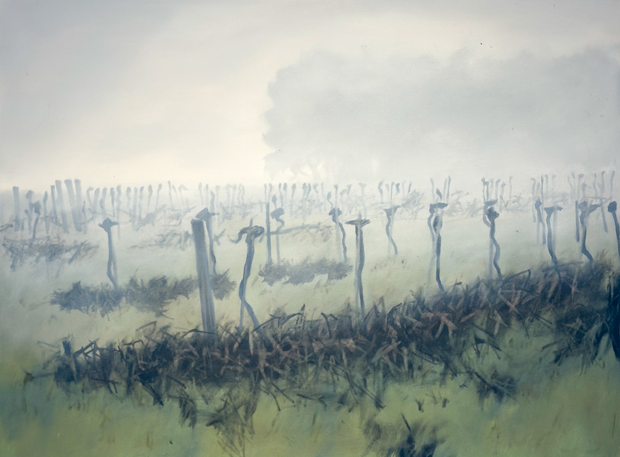 Winter Vines