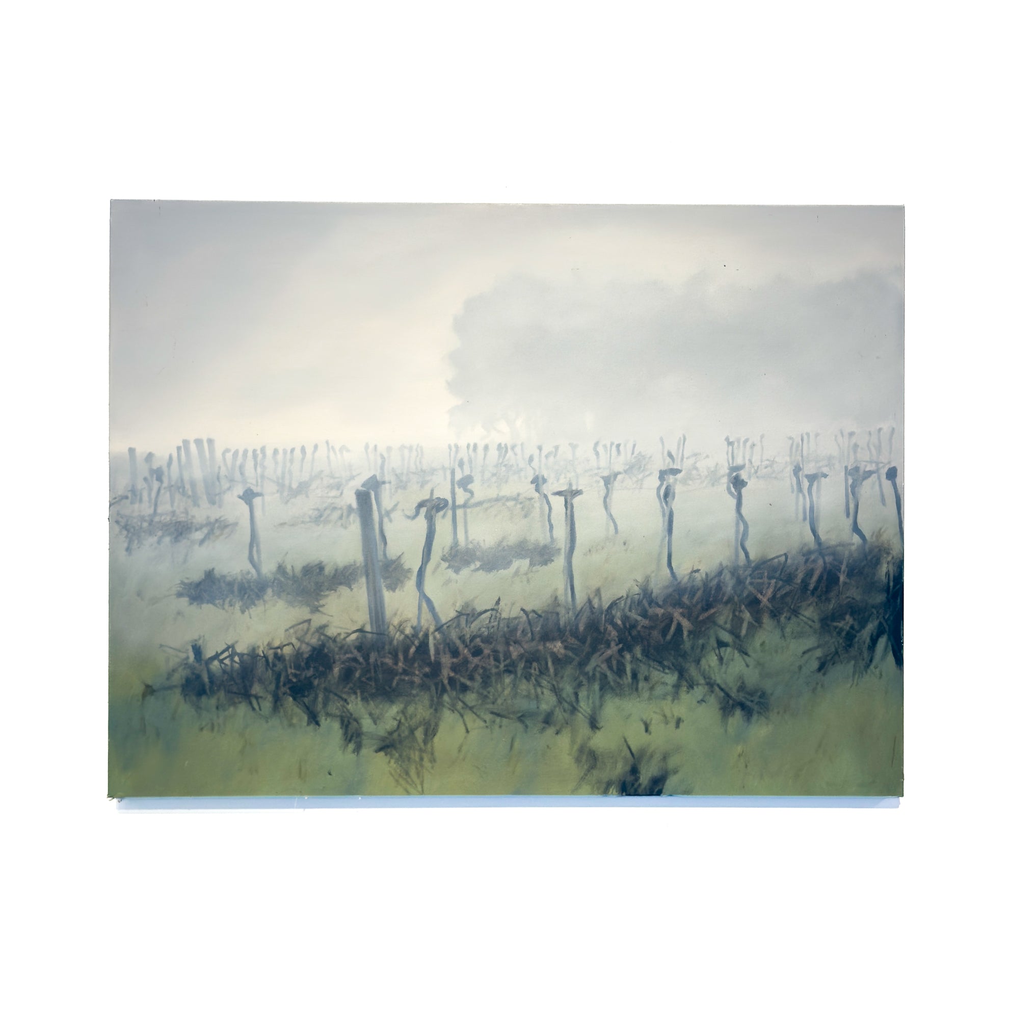 Winter Vines