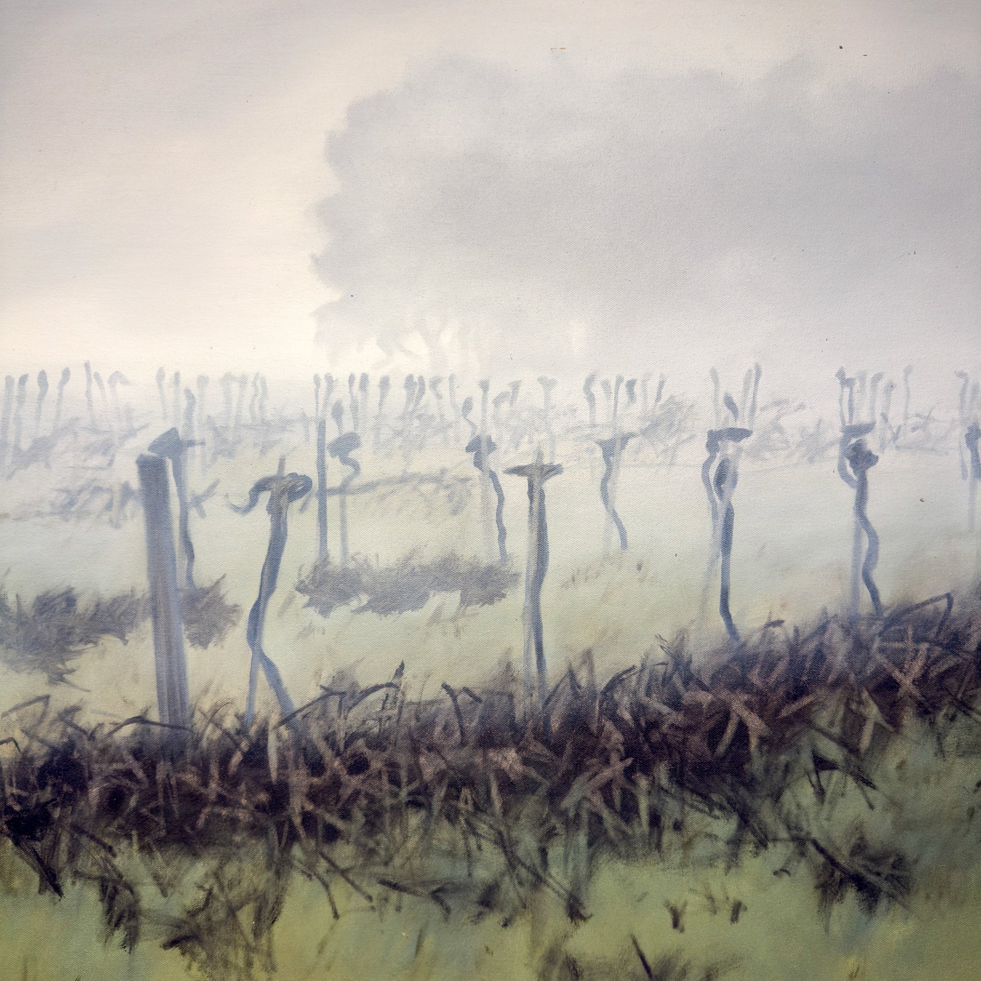 Winter Vines