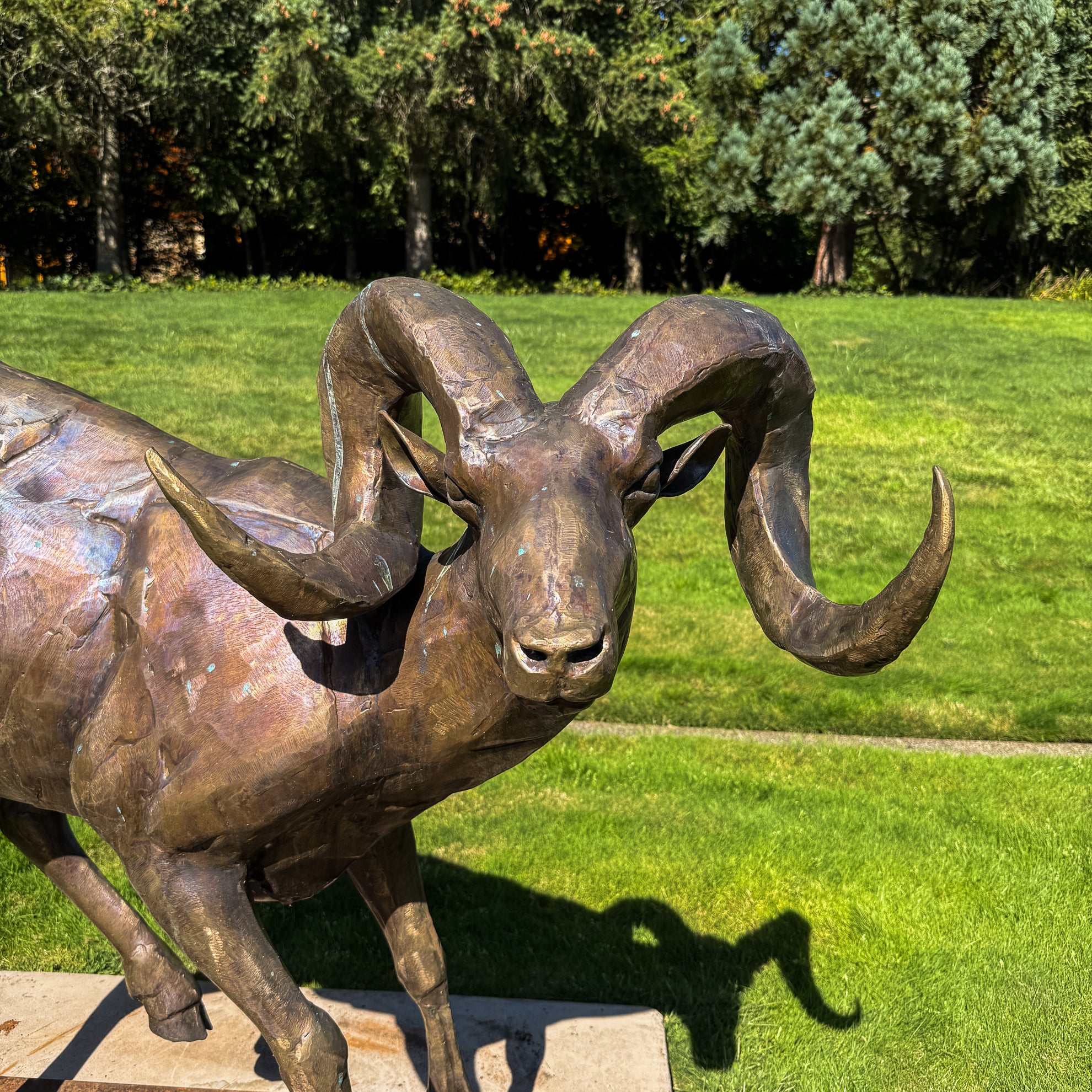 Ram