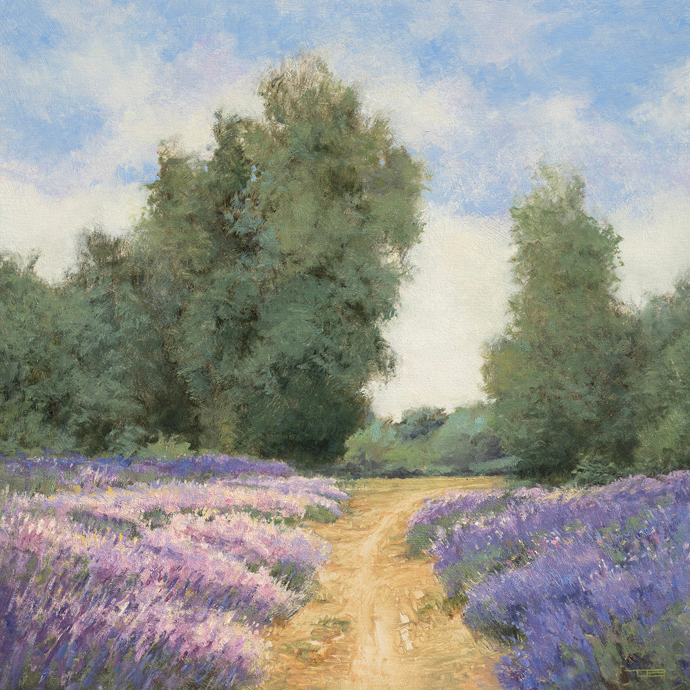 Lavender Path