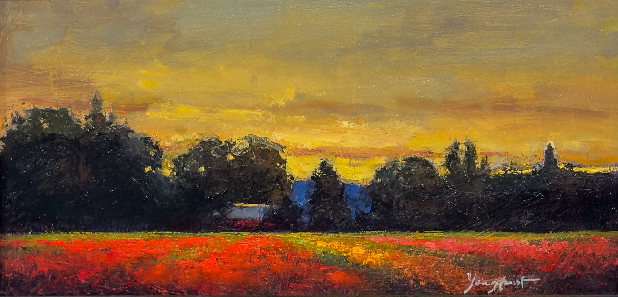 Acres of Dahlias