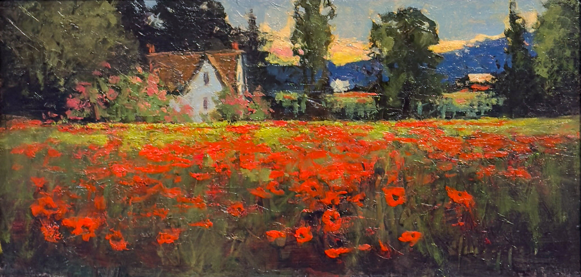 Wild Charm Flower Farm