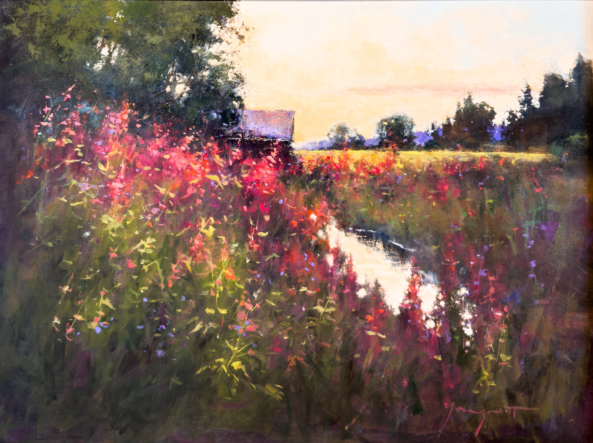 Summer's Evening Glow