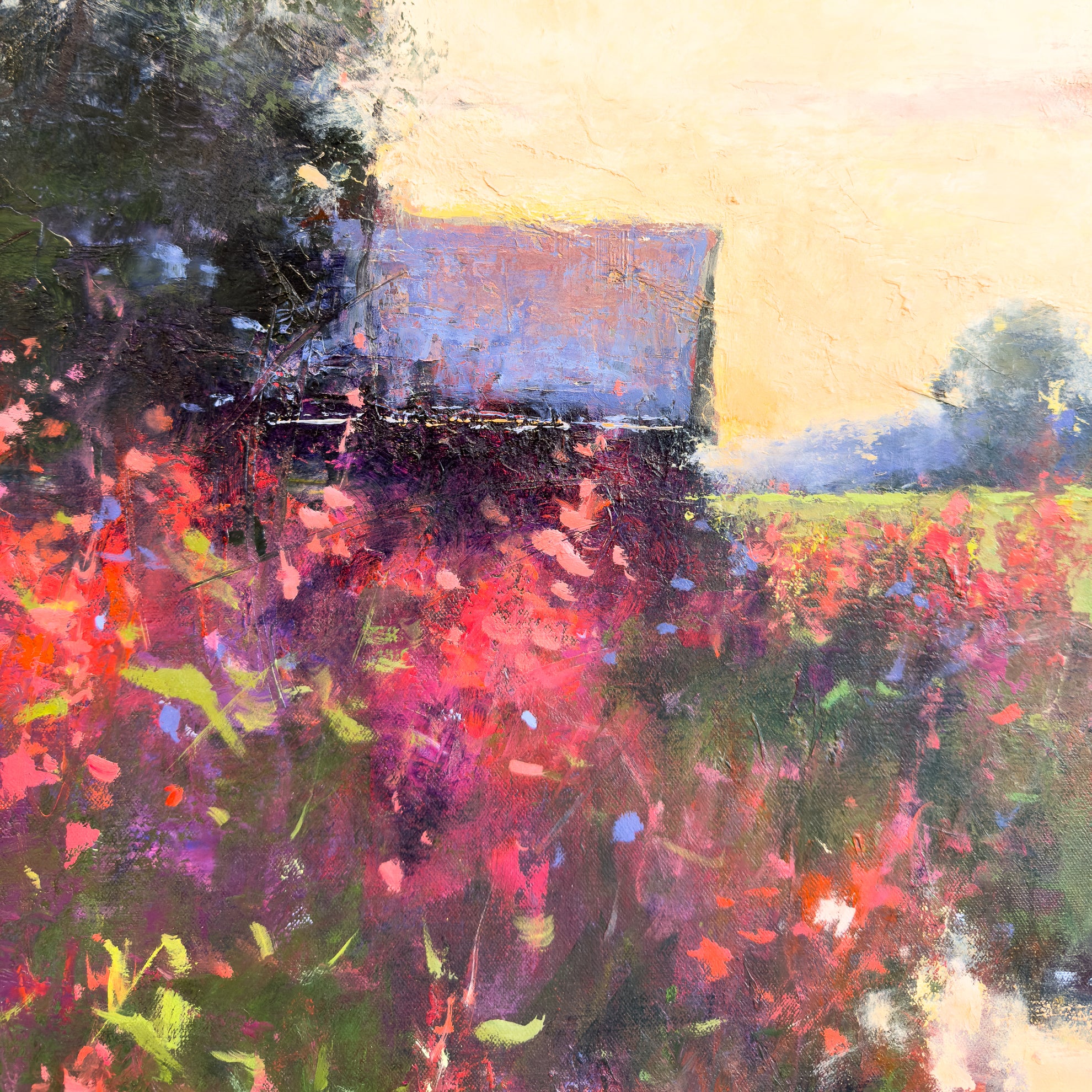 Summer's Evening Glow