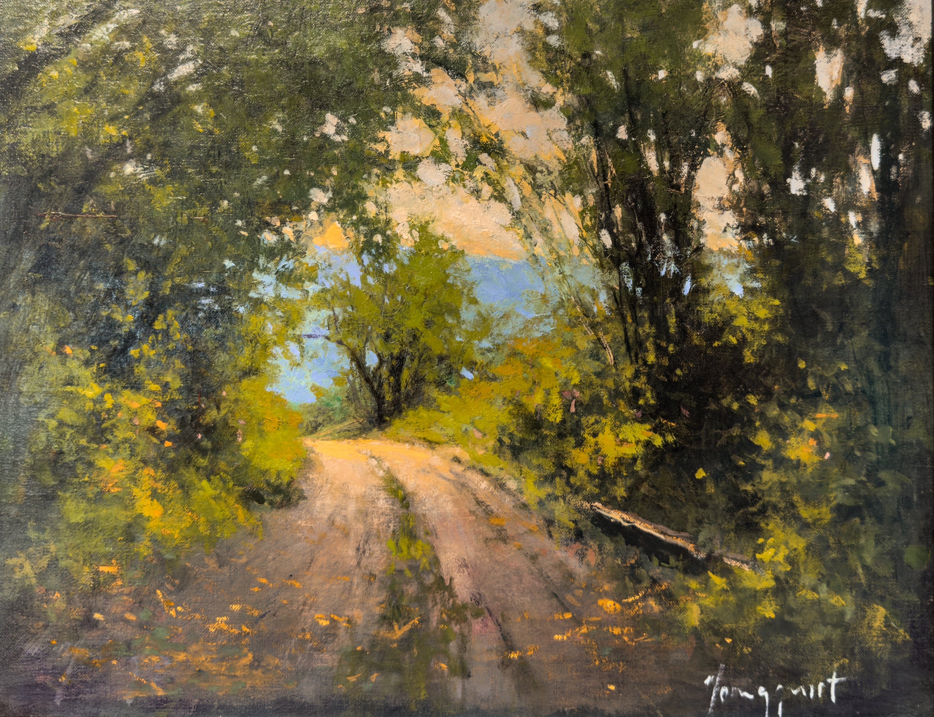 Road Through the Forest