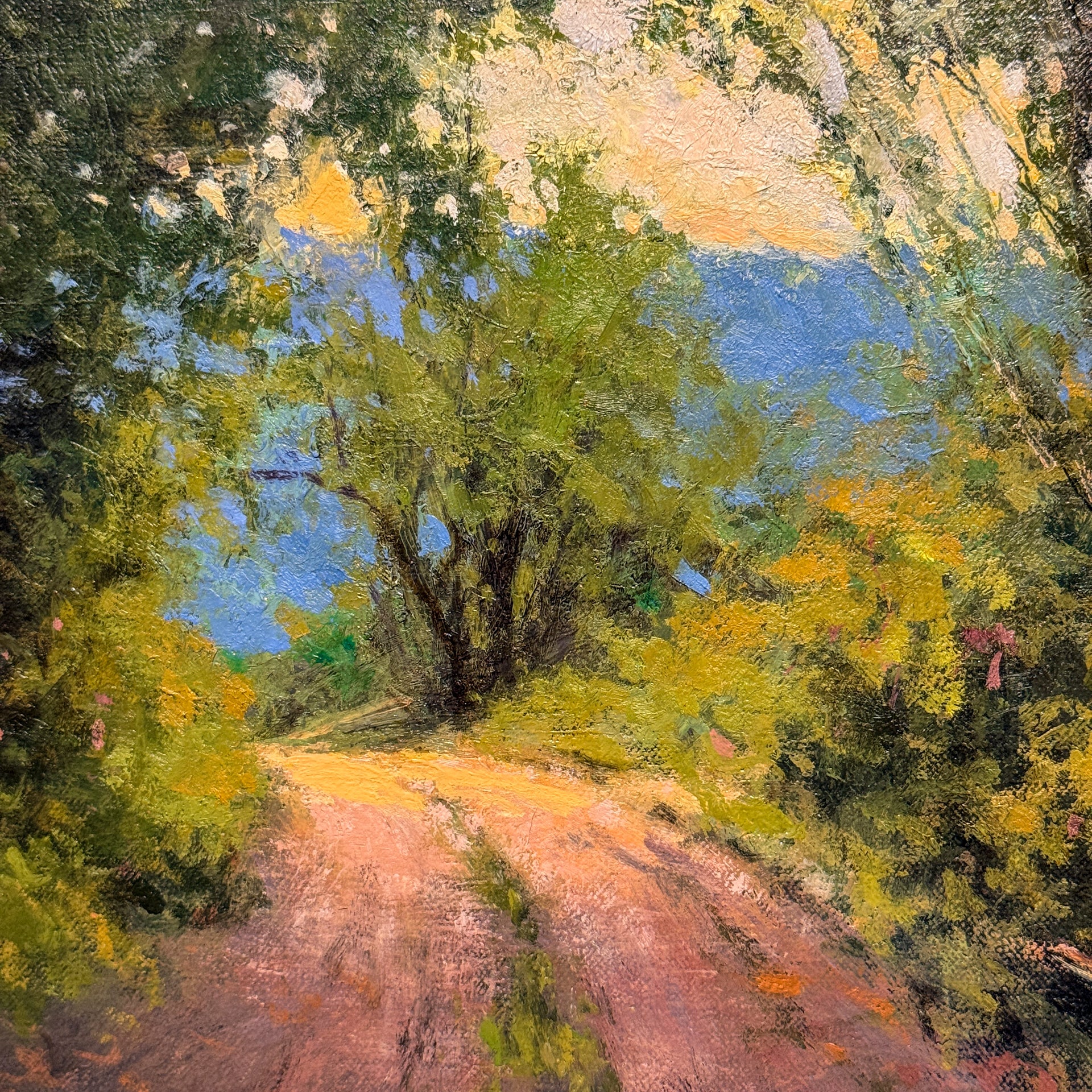 Road Through the Forest