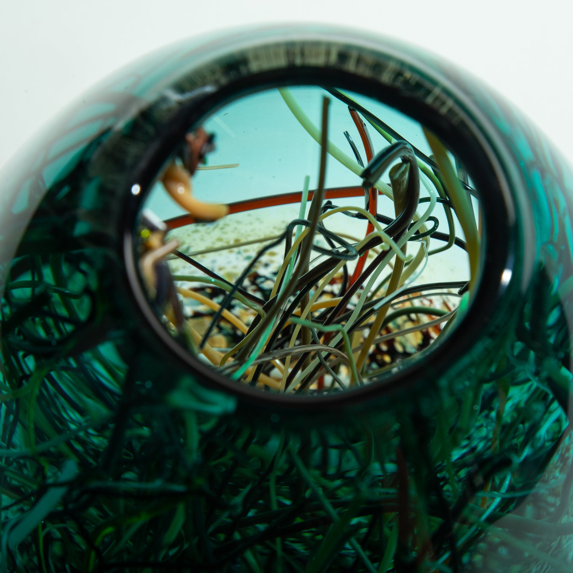 Teal & Transparent