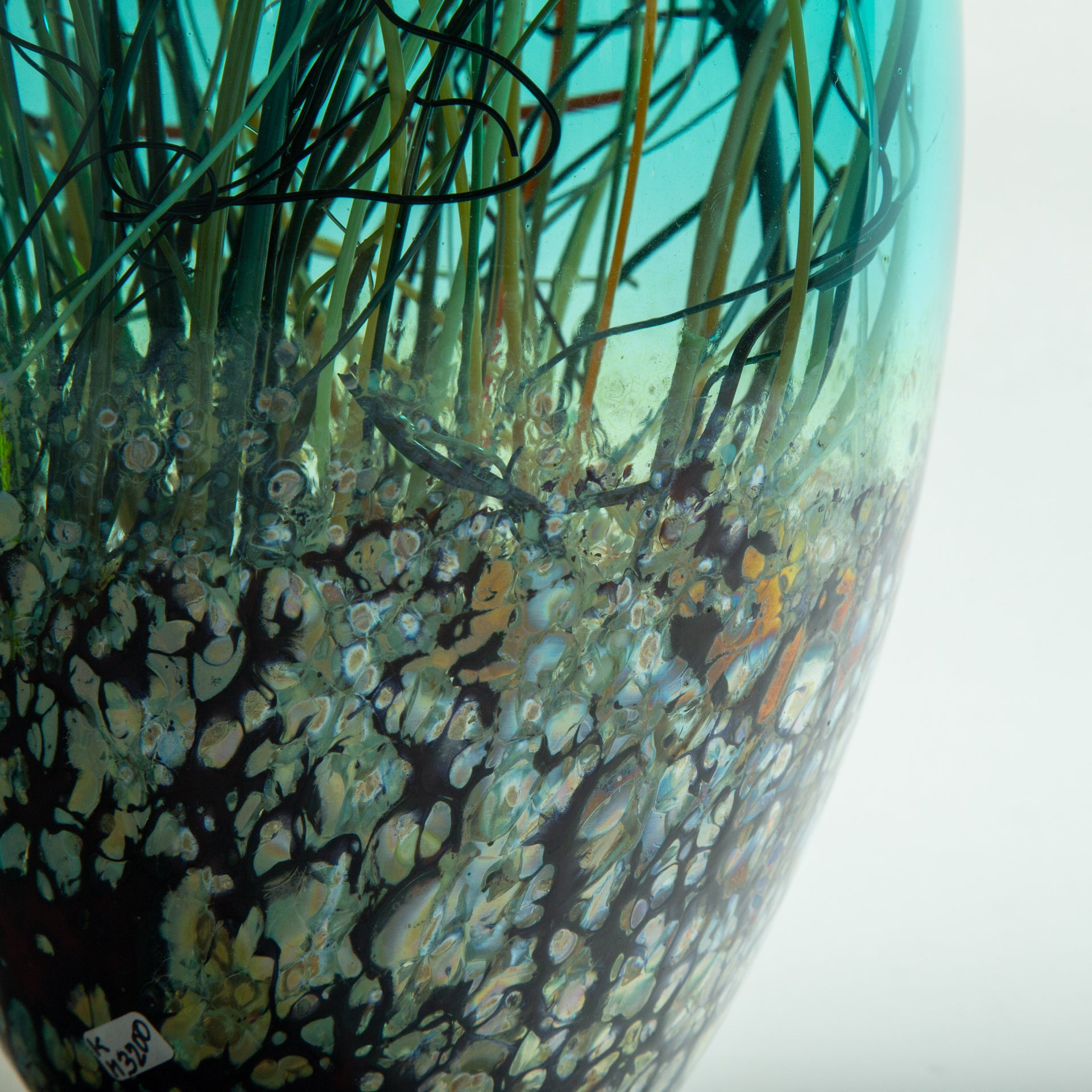 Teal & Transparent