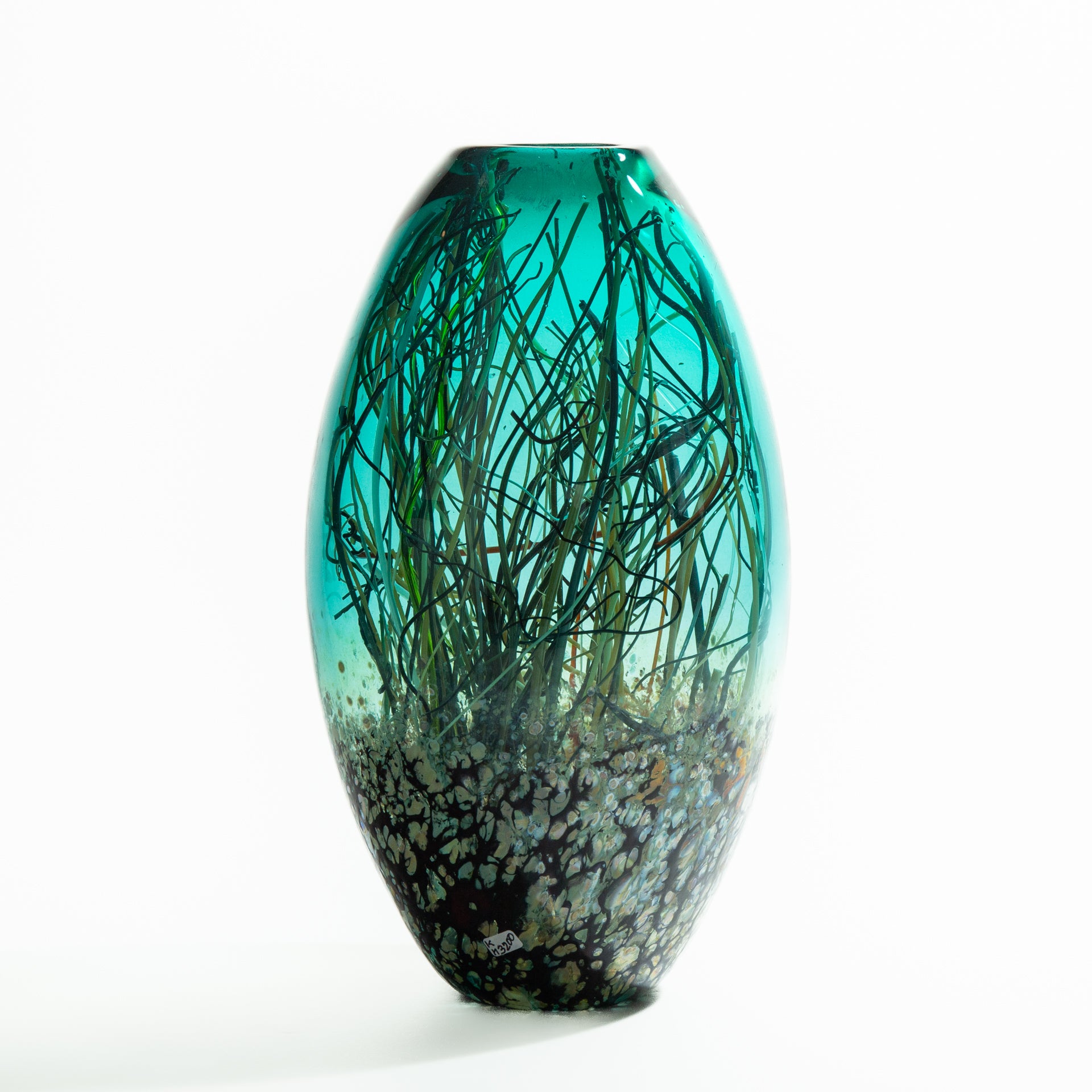 Teal & Transparent
