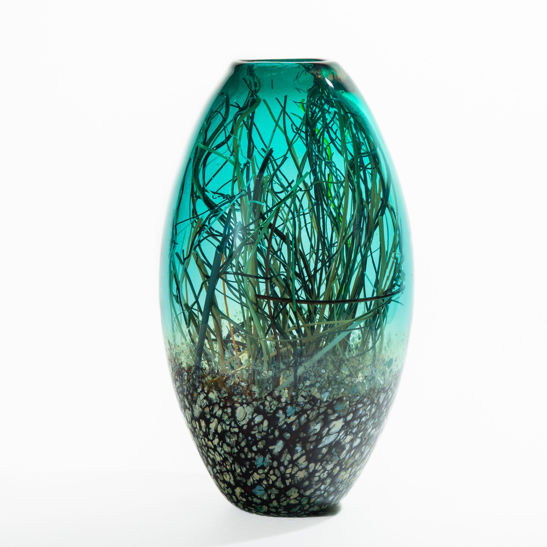 Teal & Transparent