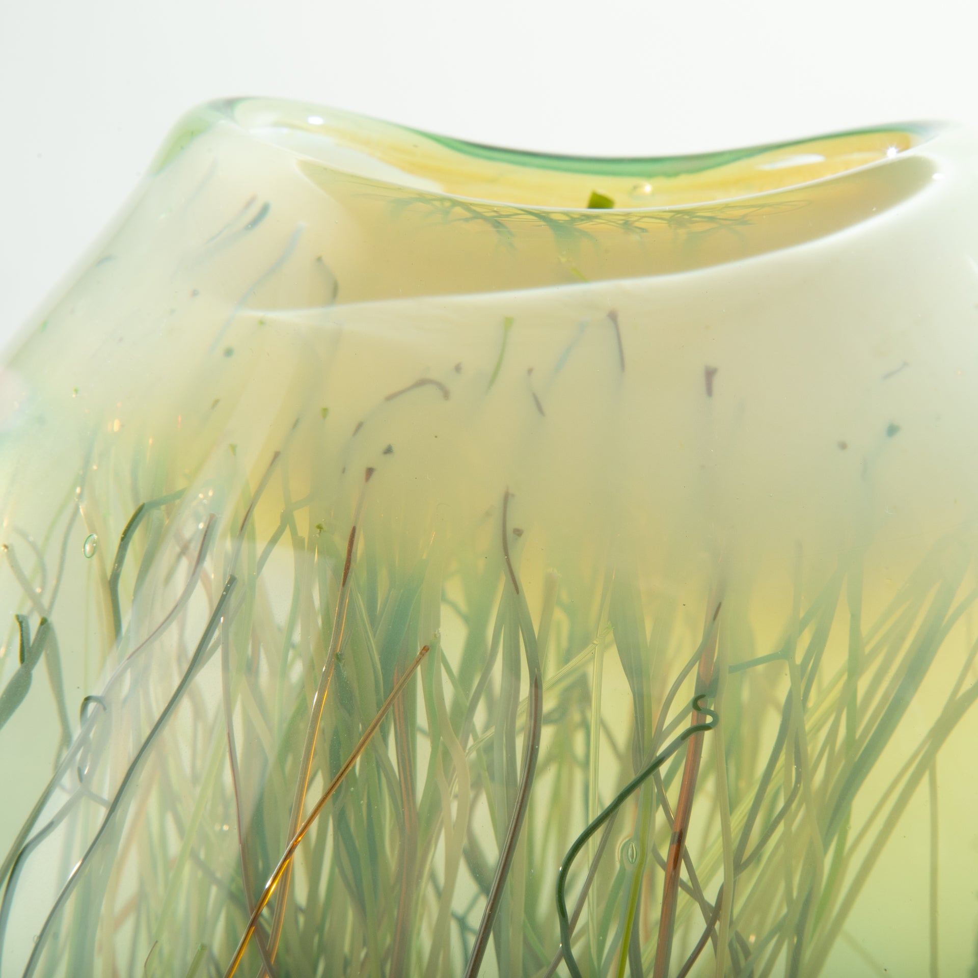 Iris Vanilla Green & Bubbles Vessel