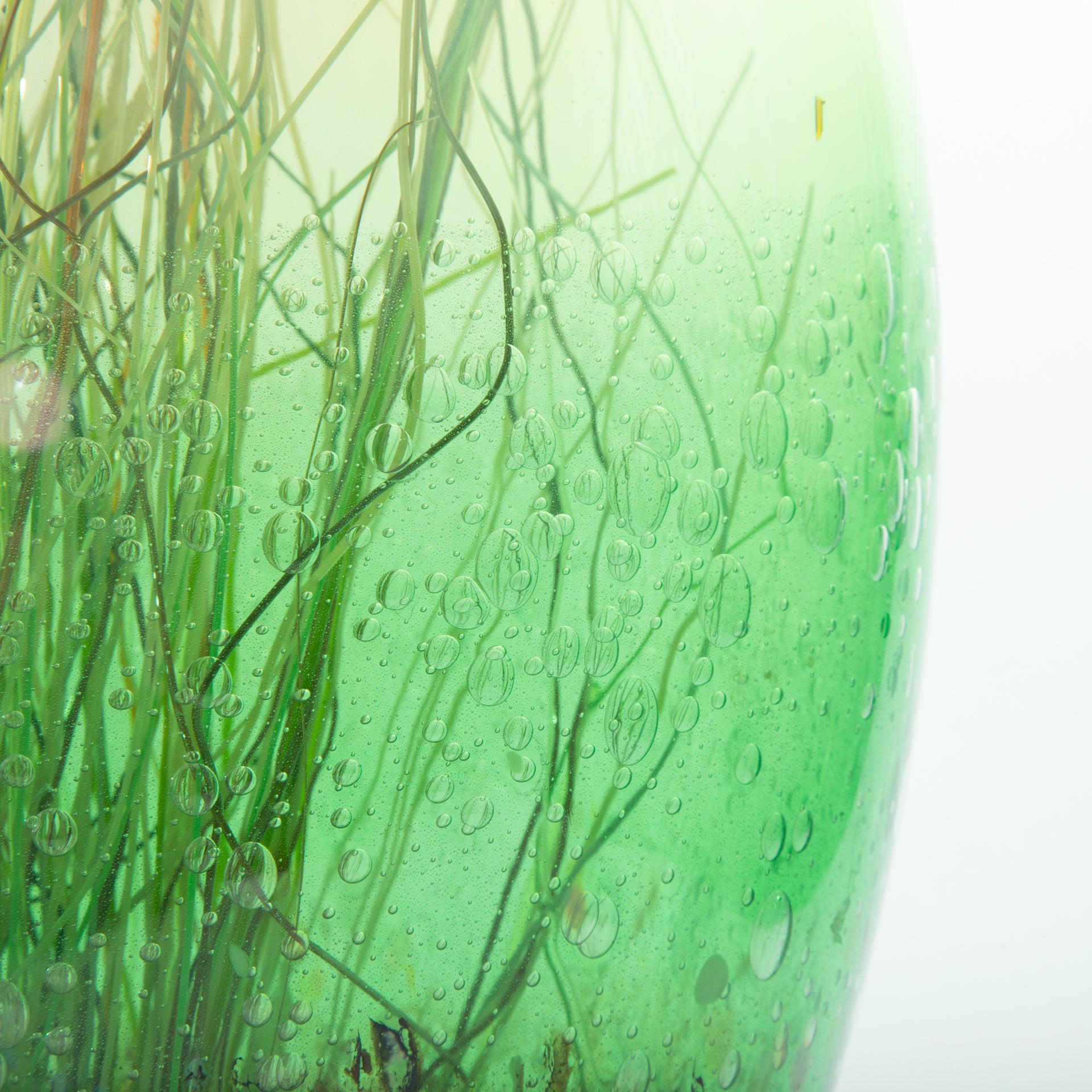 Iris Vanilla Green & Bubbles Vessel