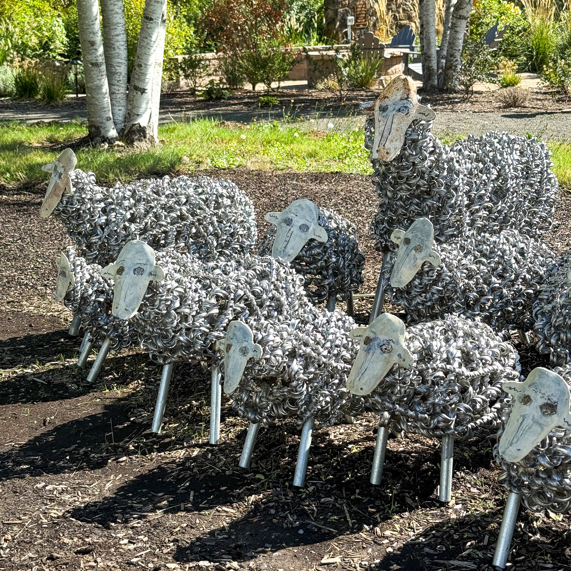 Spring Sheep
