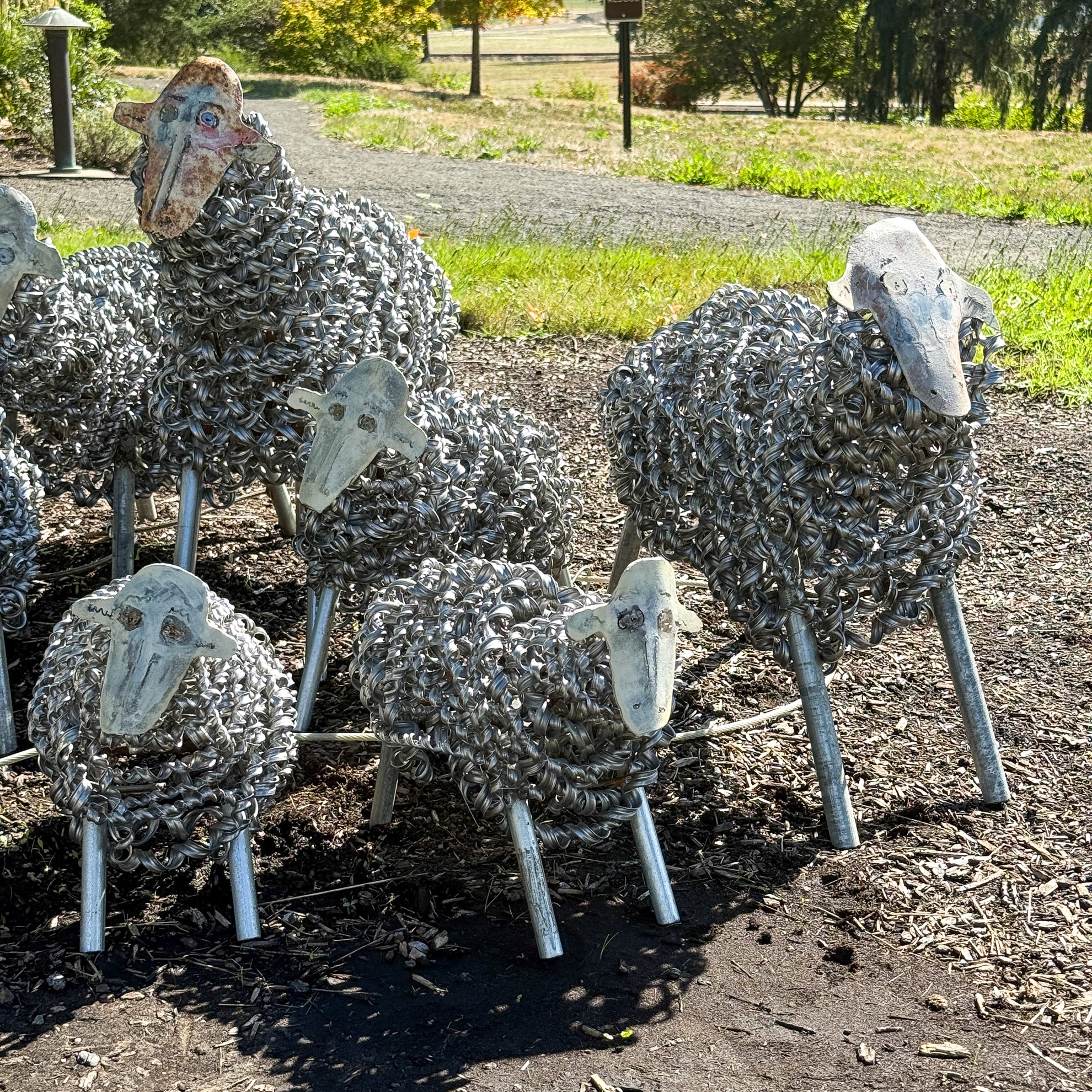 Spring Sheep