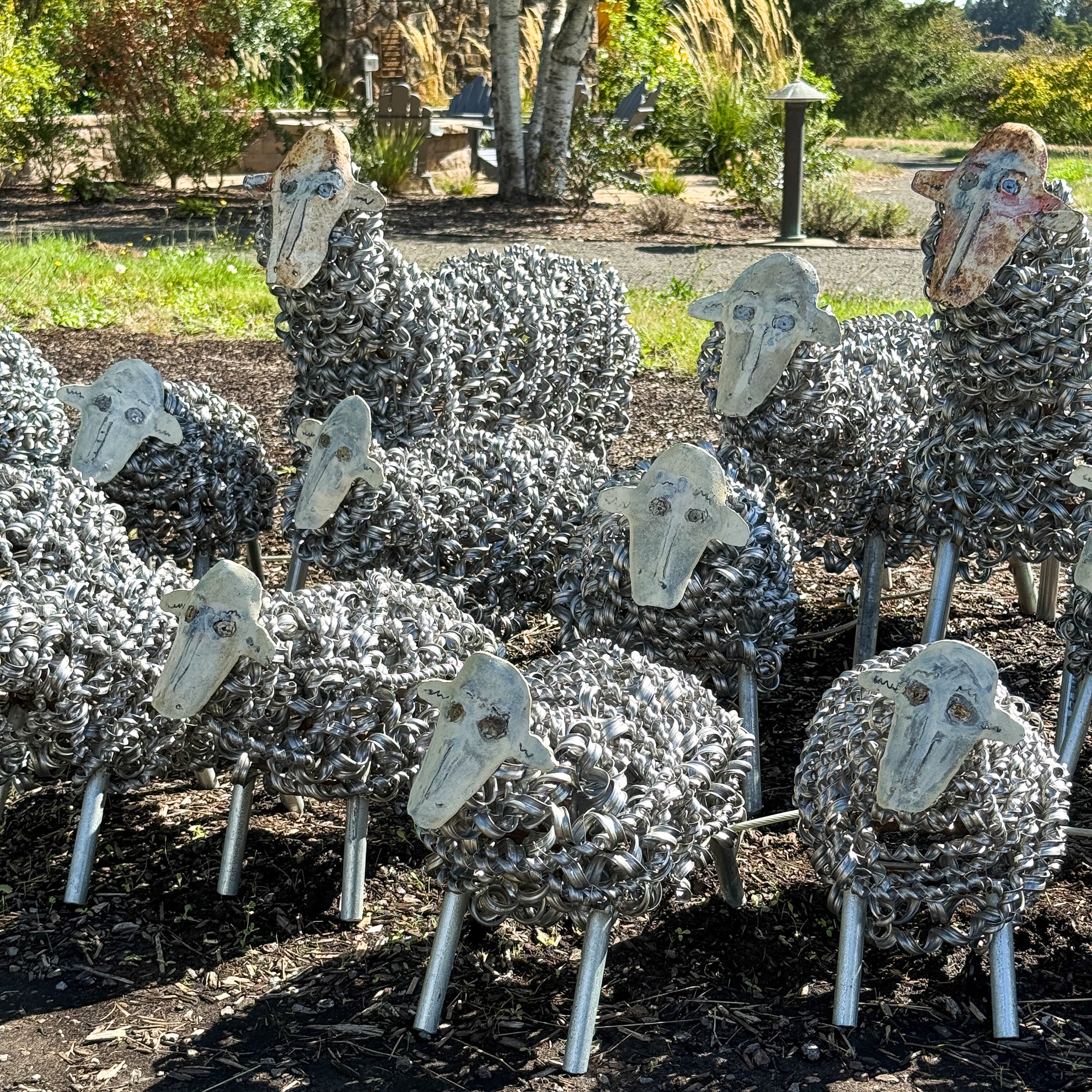 Spring Sheep