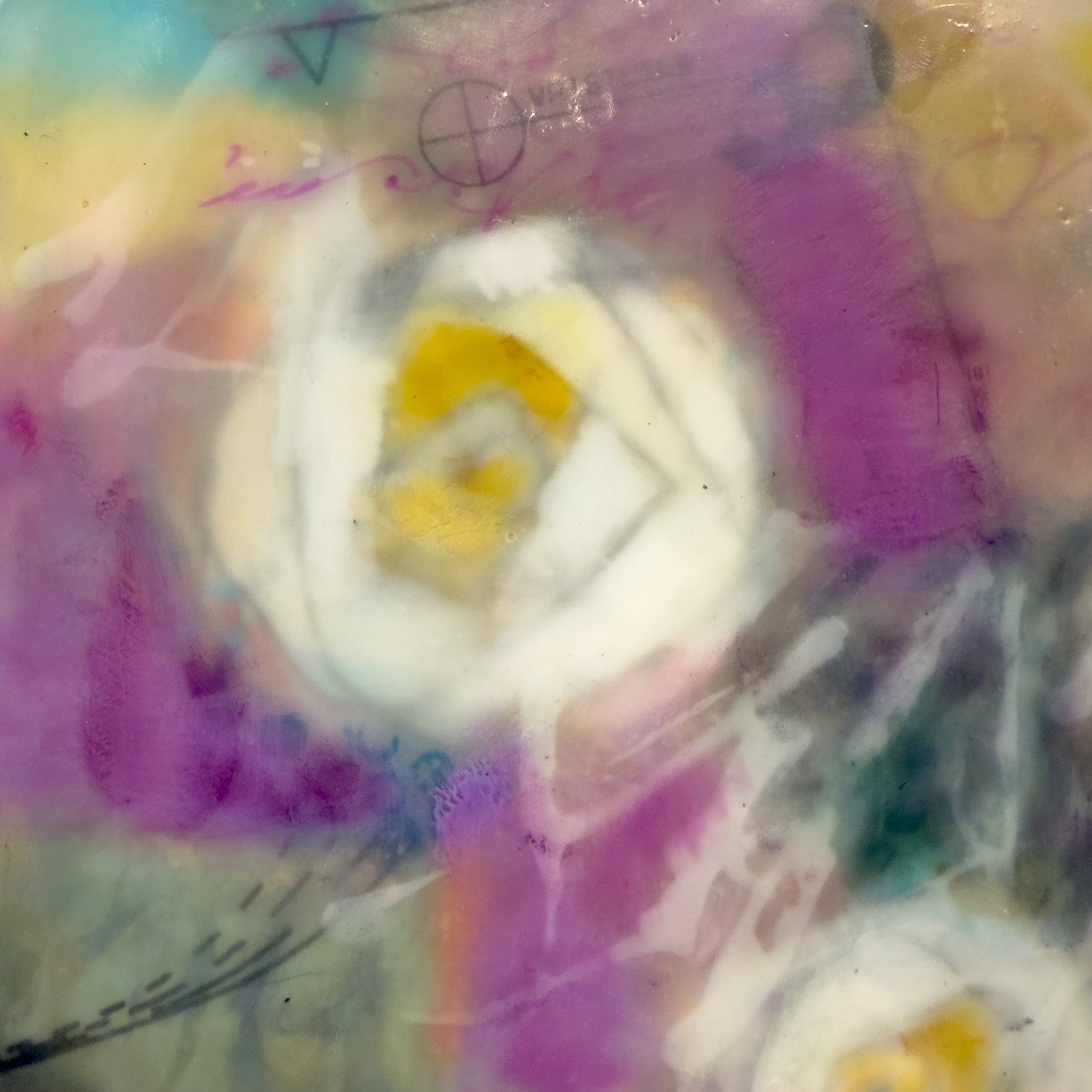 Roses in Lavender