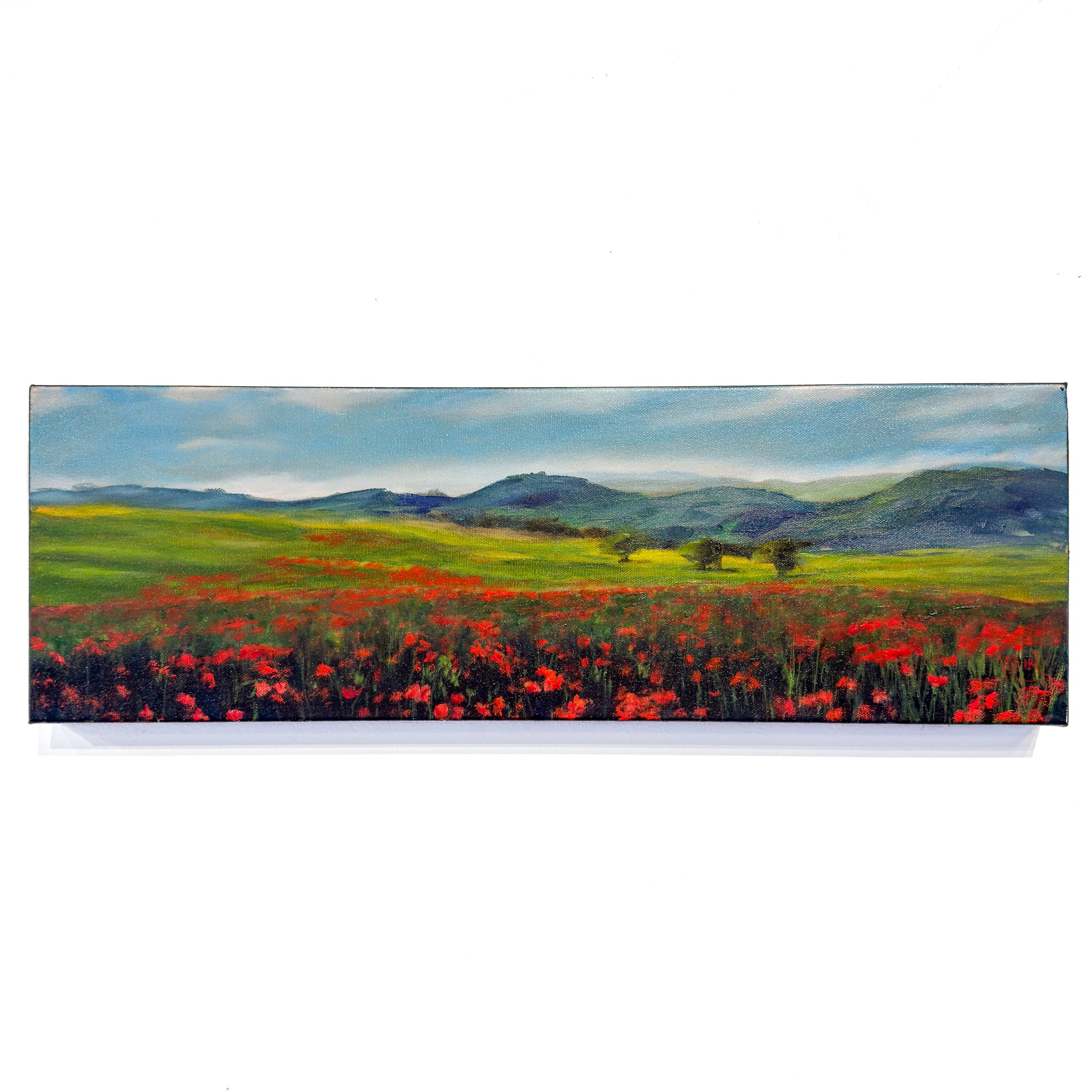 Superbloom in Tuscany