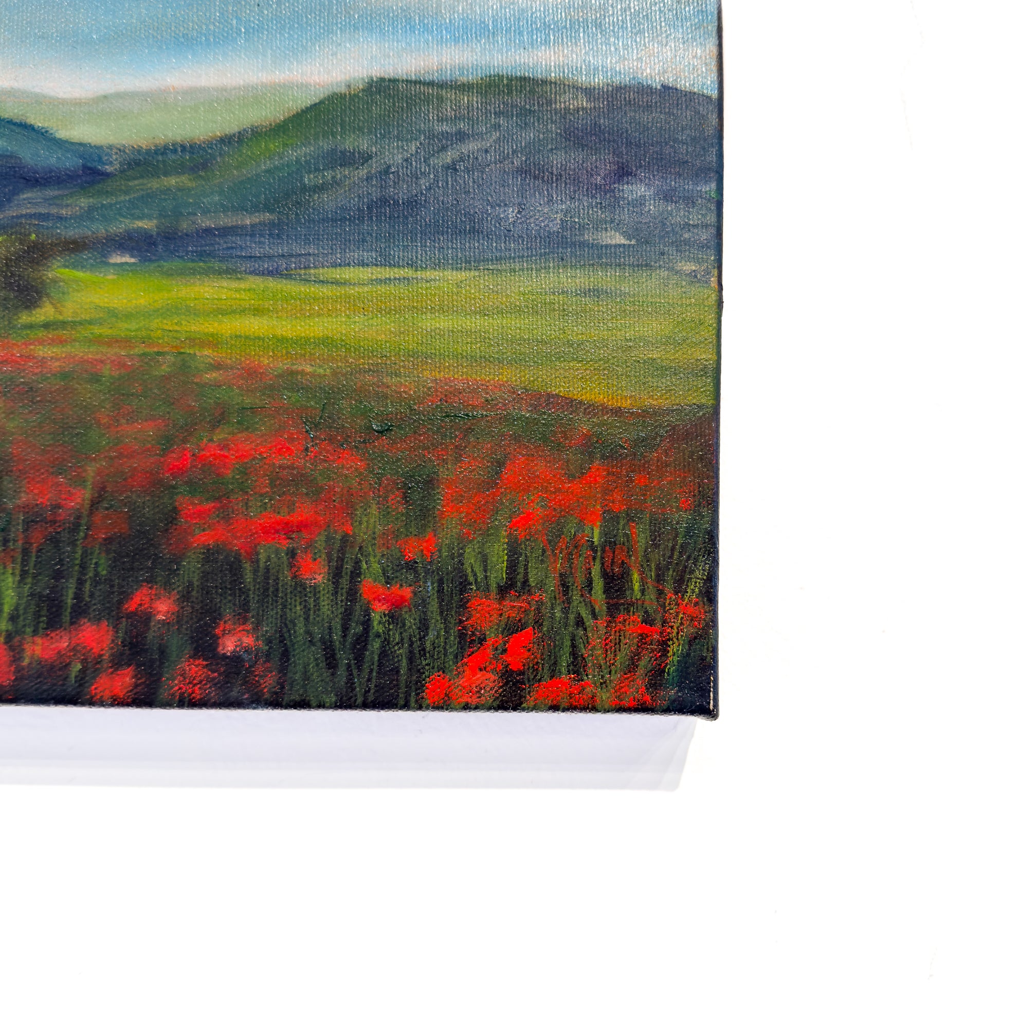 Superbloom in Tuscany