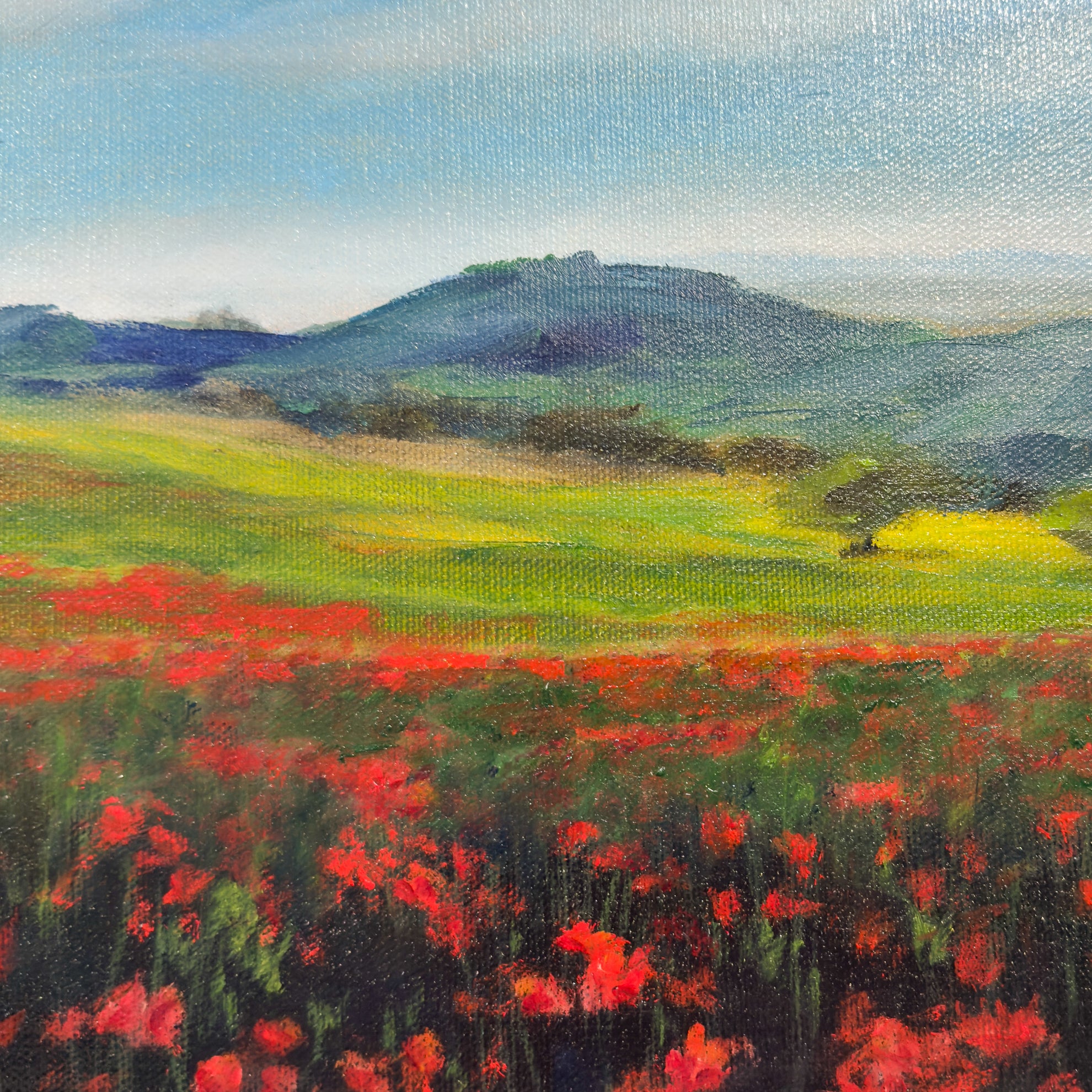 Superbloom in Tuscany