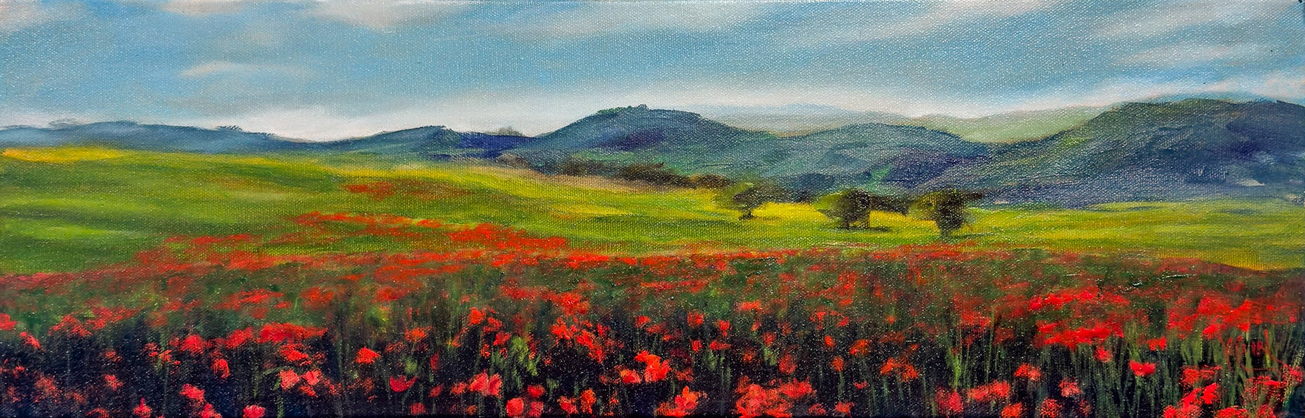 Superbloom in Tuscany