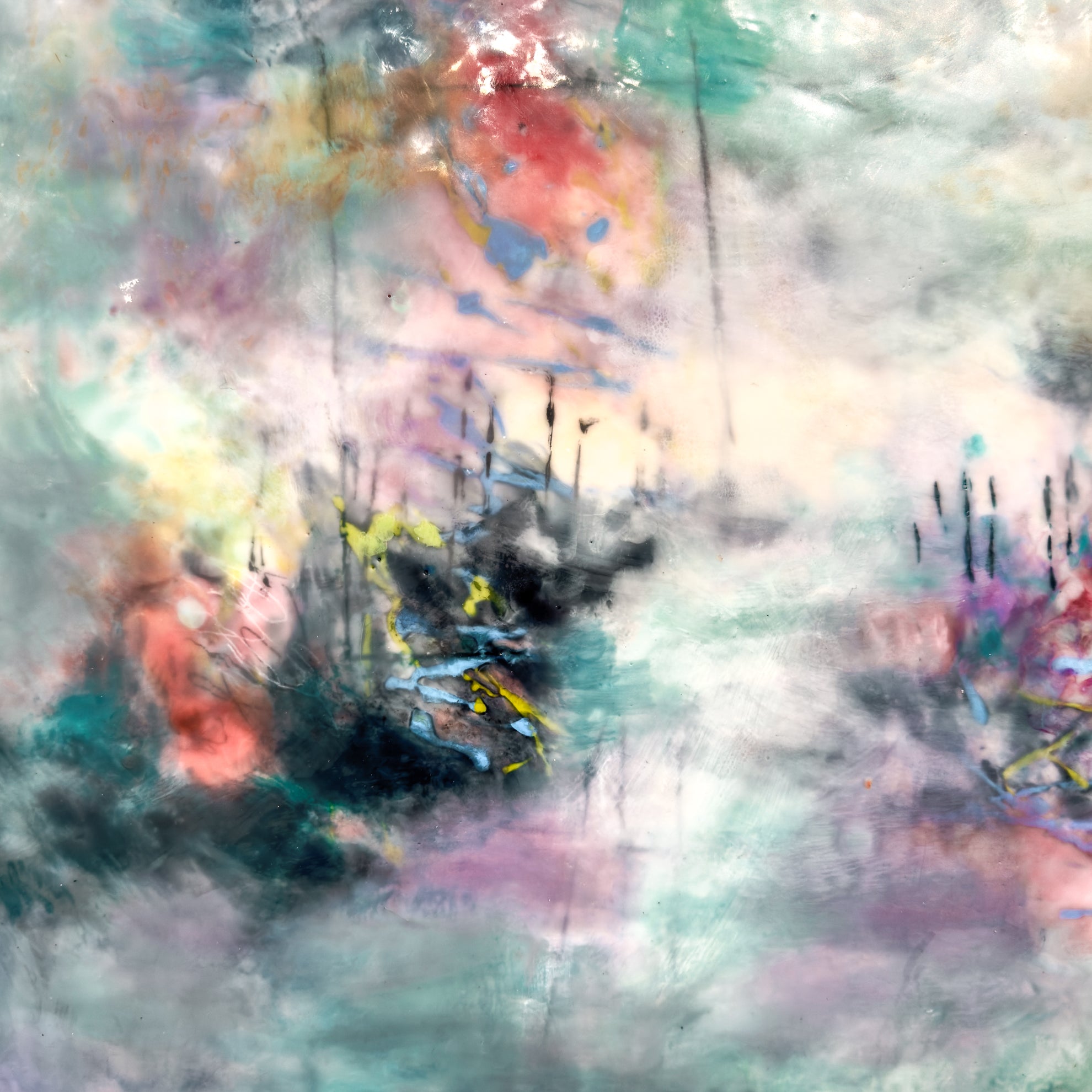 Safe Harbor