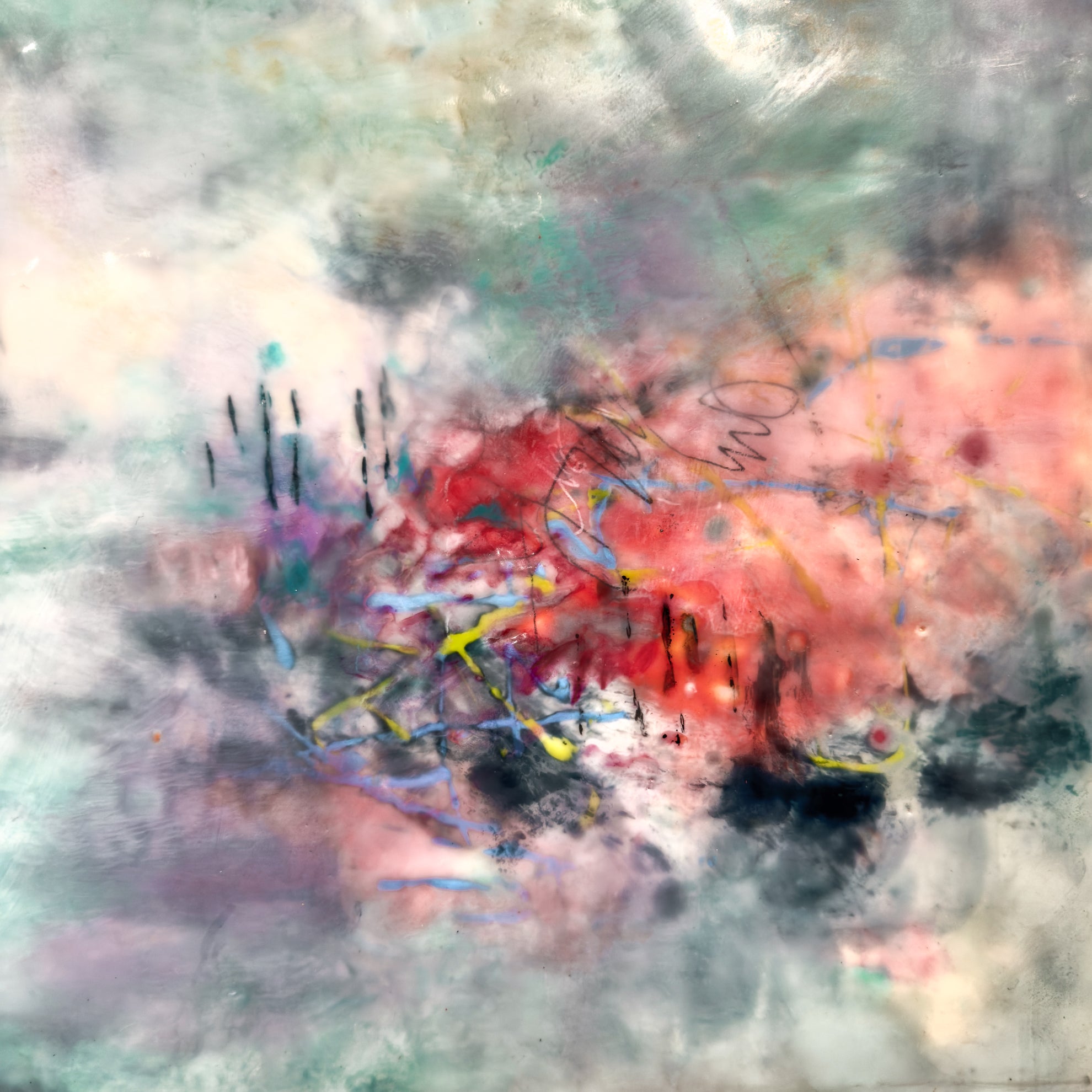 Safe Harbor