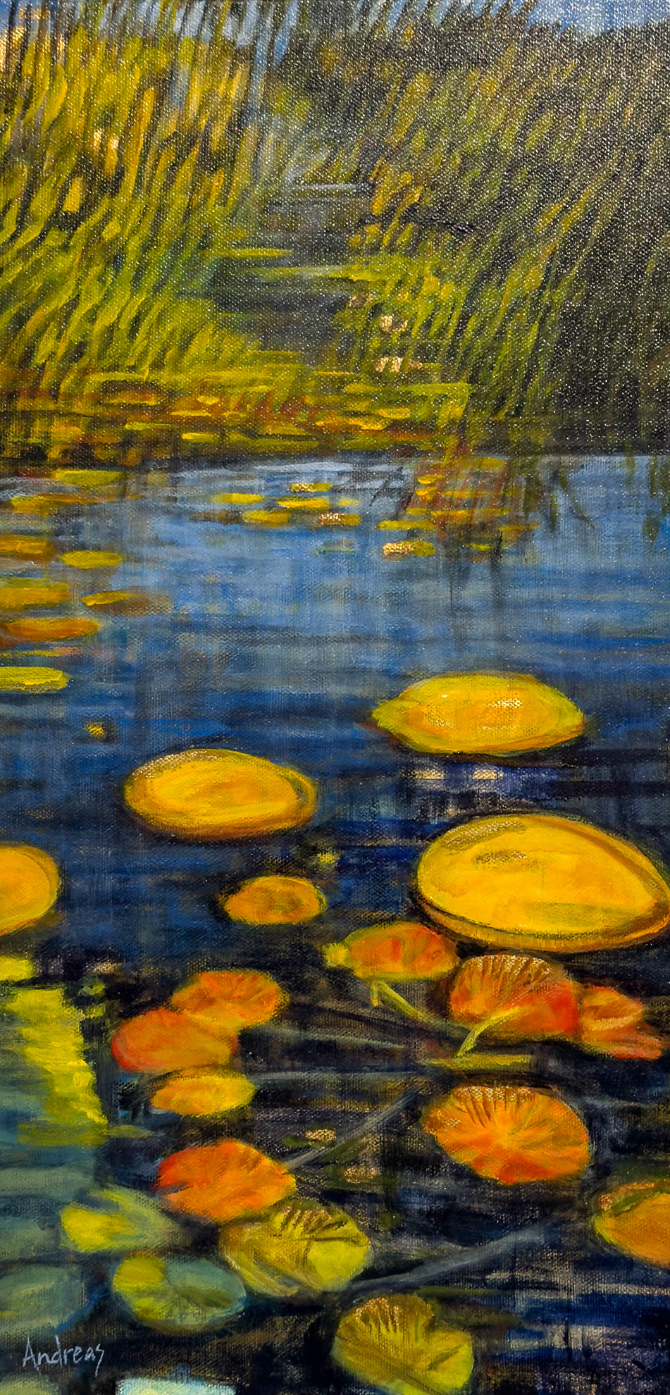 Autumn Lily Pond