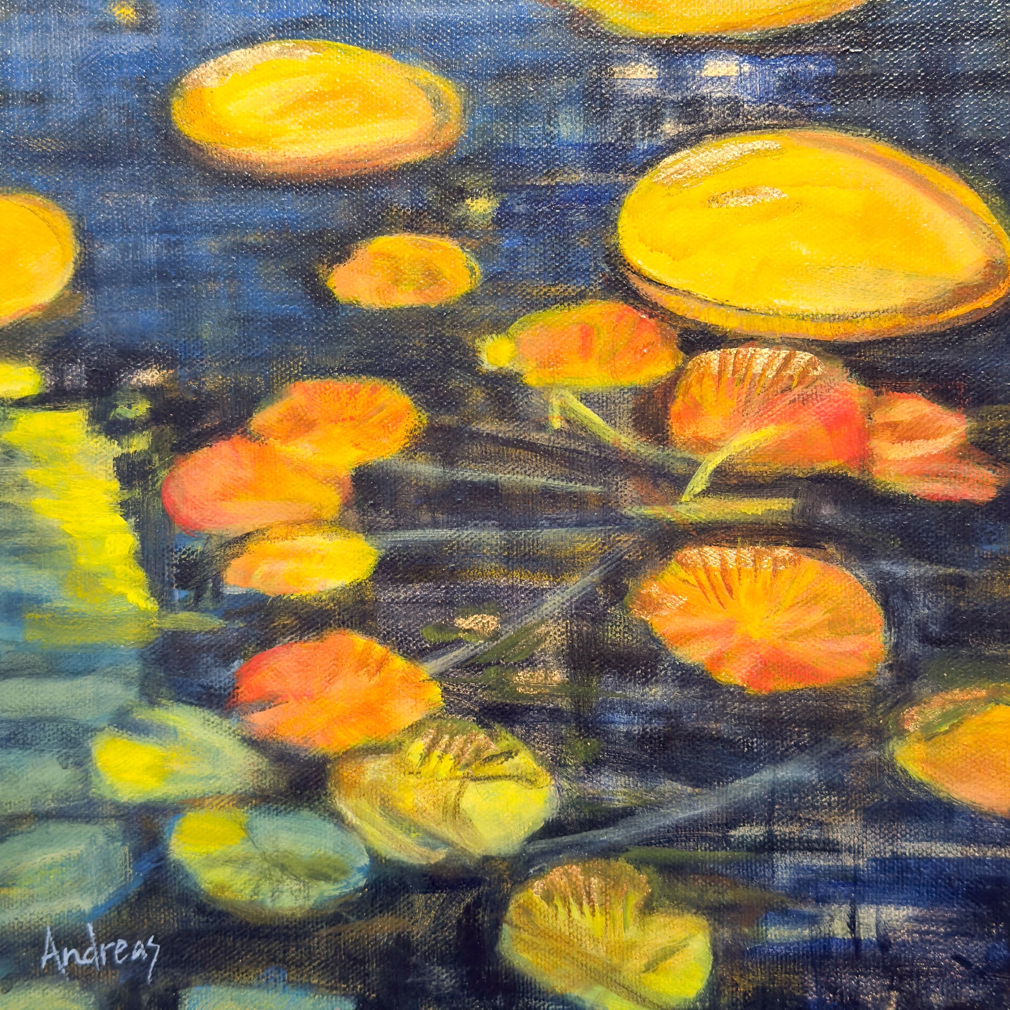 Autumn Lily Pond