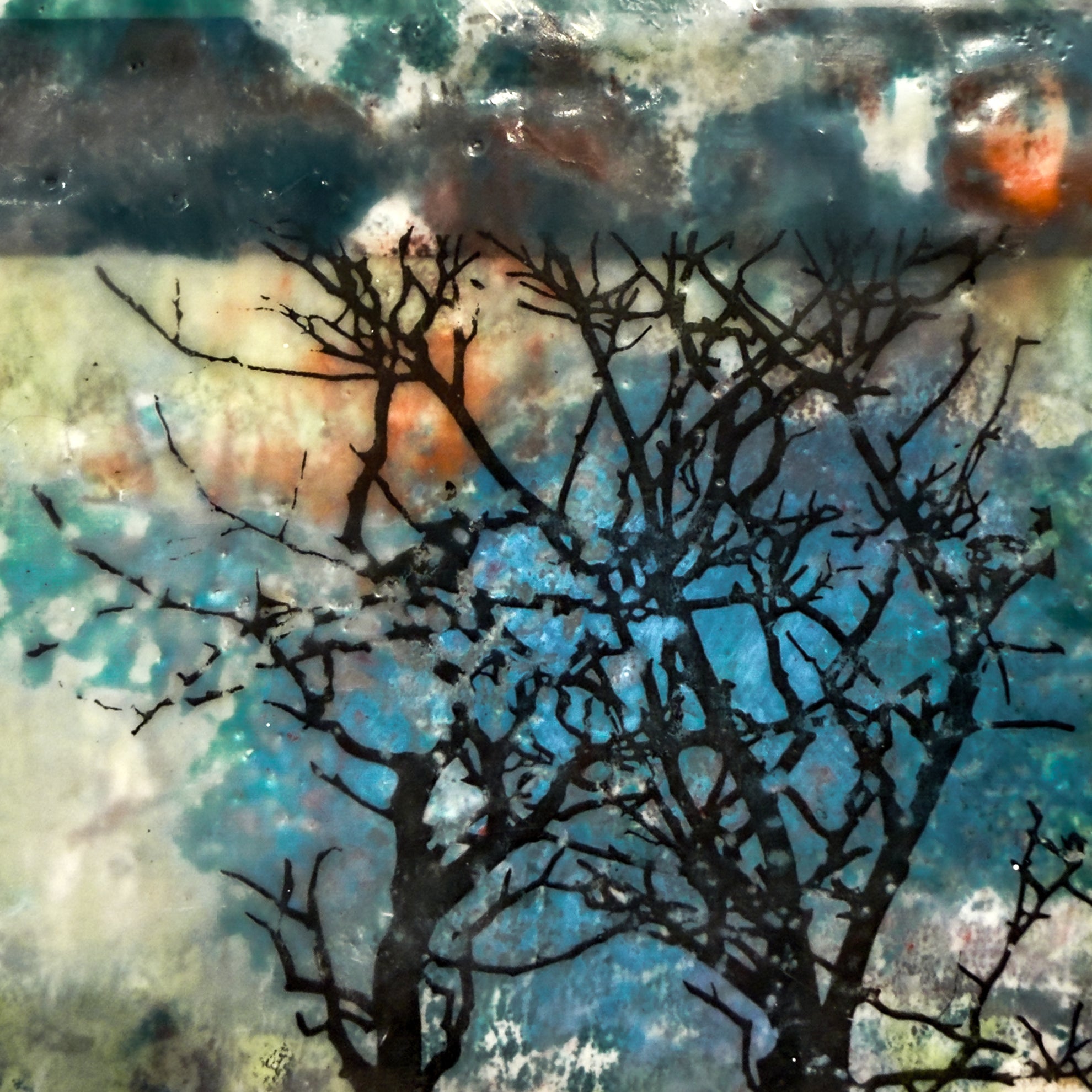 Winter's Promise