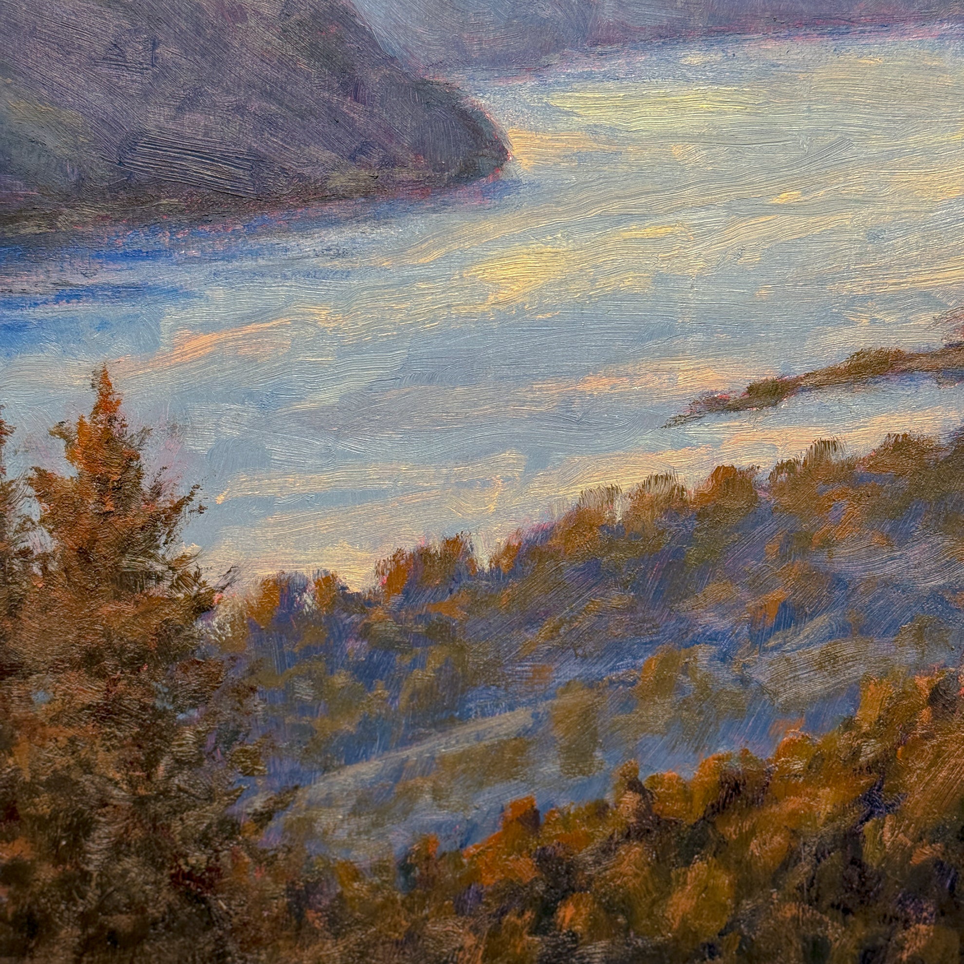 Vista View
