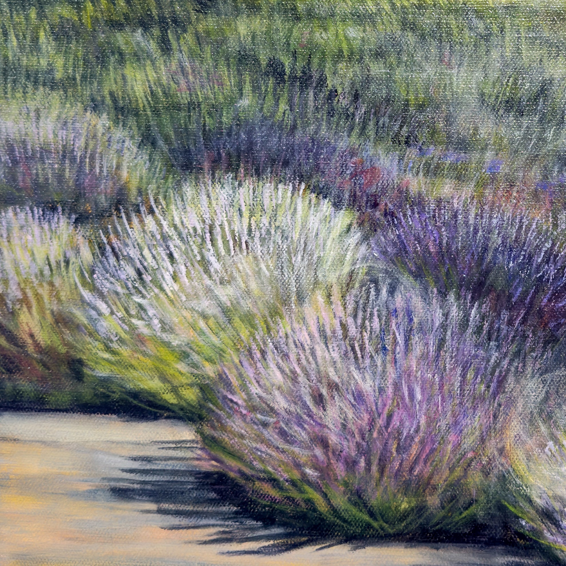 Wayward Winds
